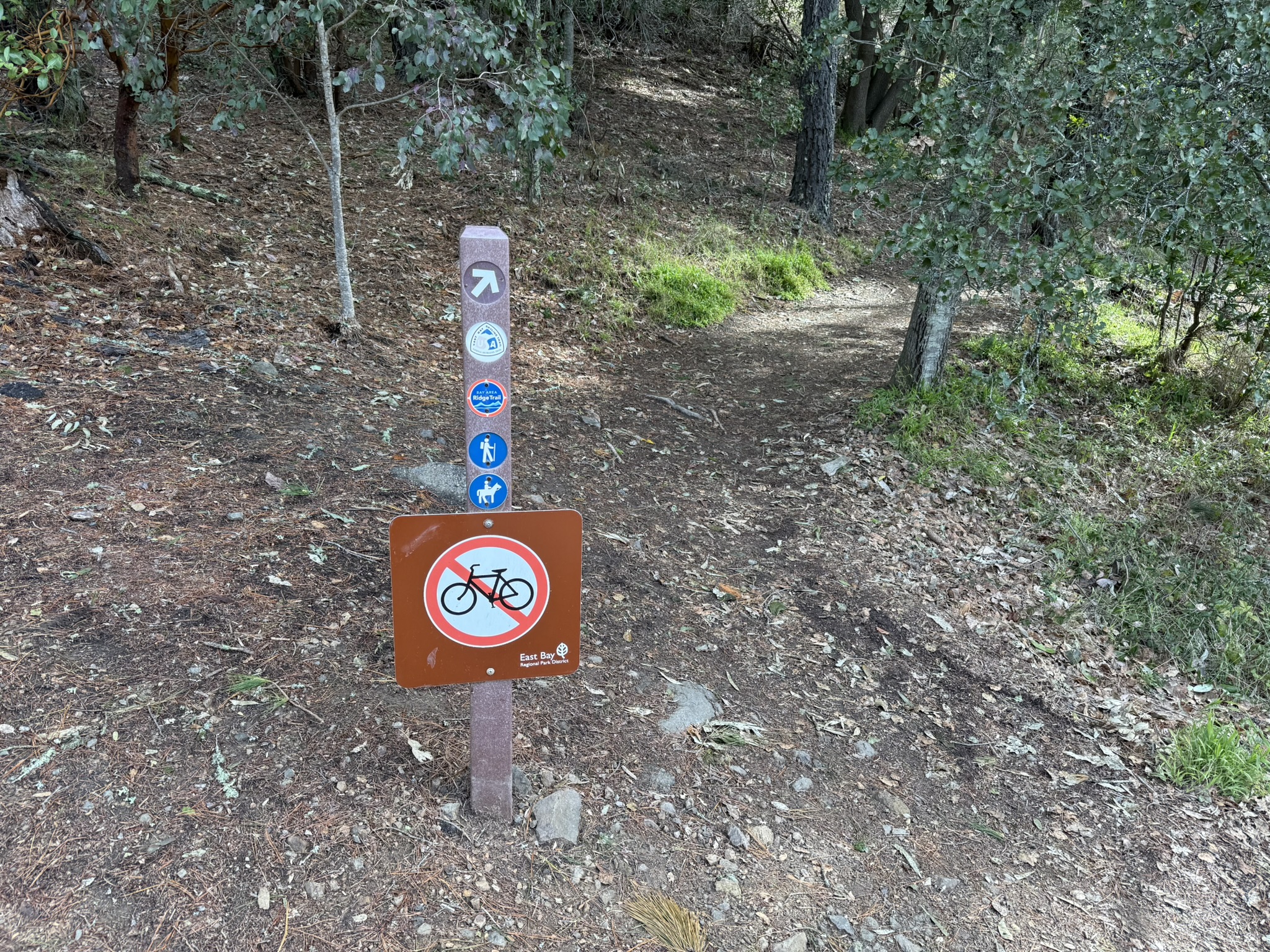 Sibley Volcanic Regional Preserve