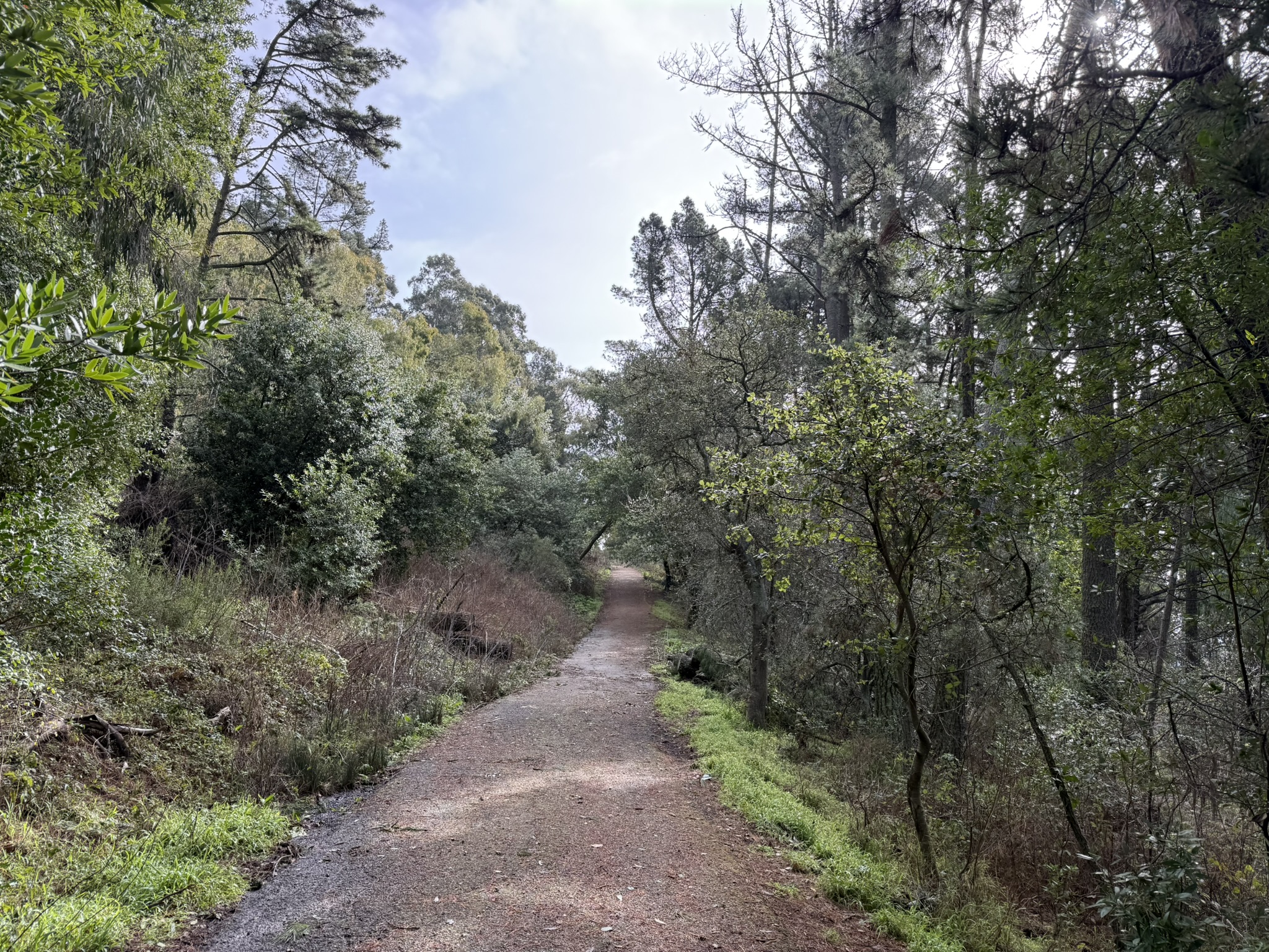 Sibley Volcanic Regional Preserve