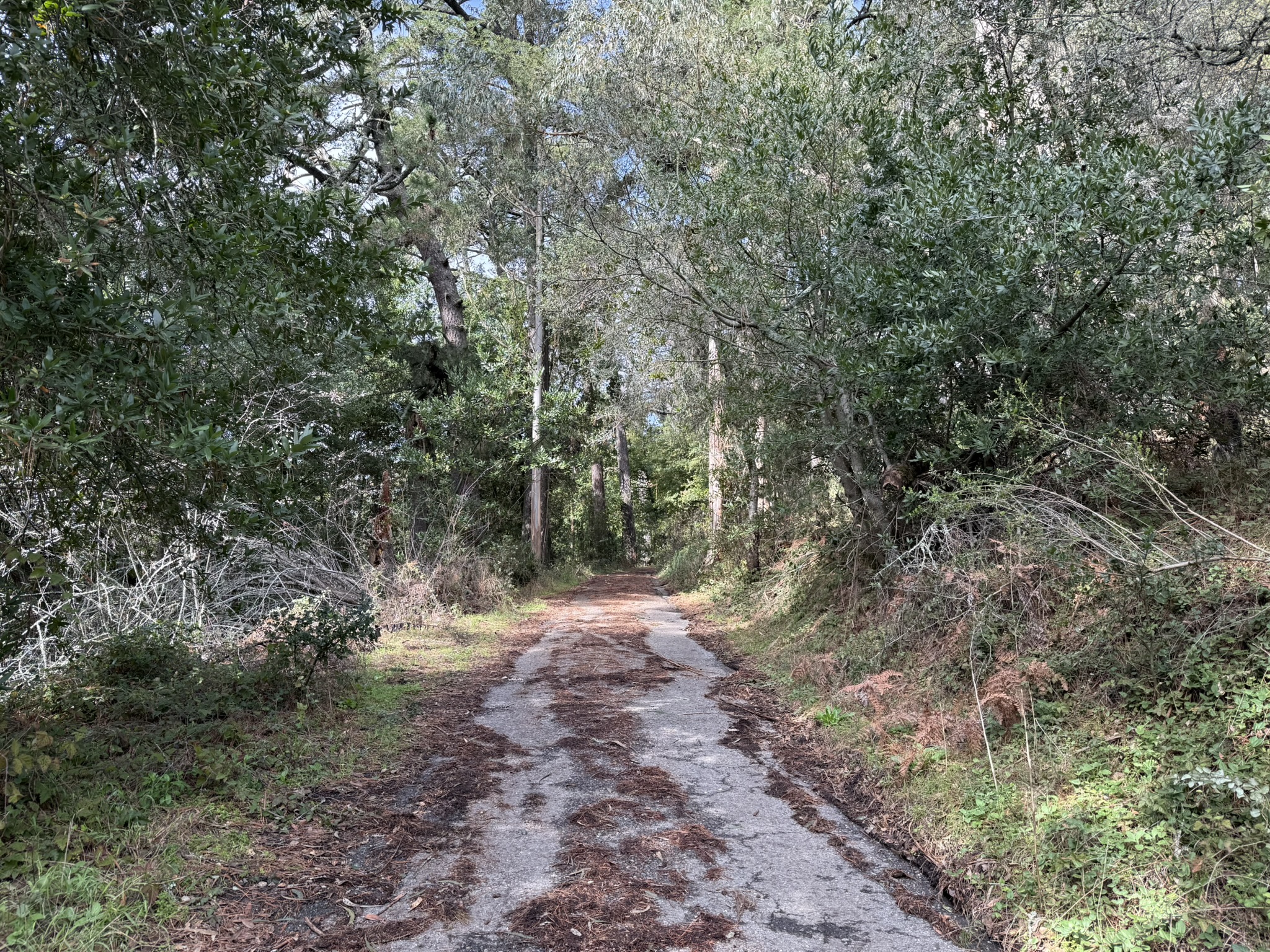 Sibley Volcanic Regional Preserve