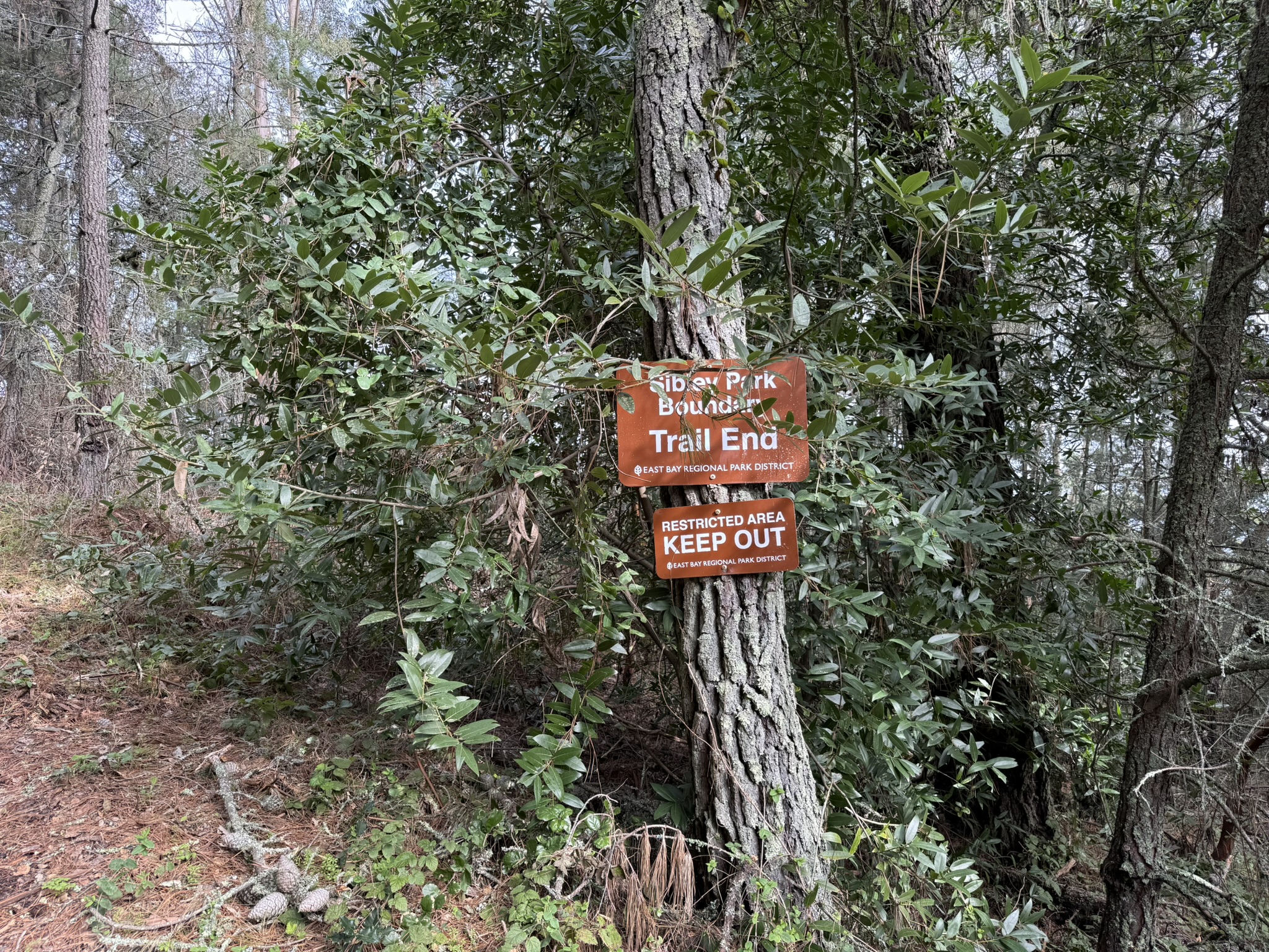 Sibley Volcanic Regional Preserve