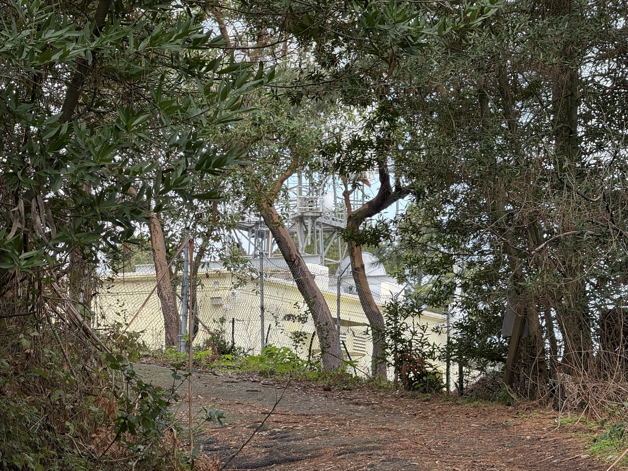 Sibley Volcanic Regional Preserve