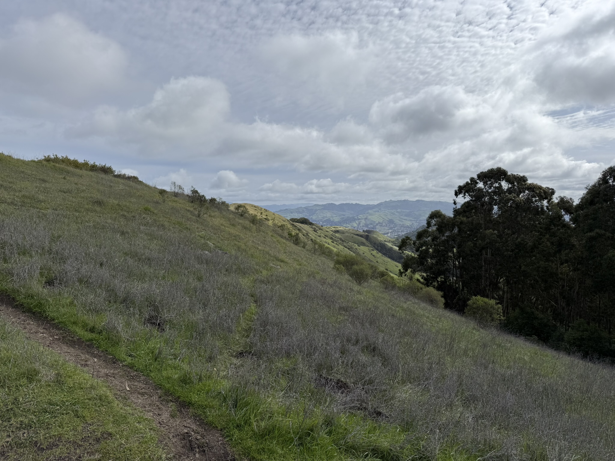 Sibley Volcanic Regional Preserve