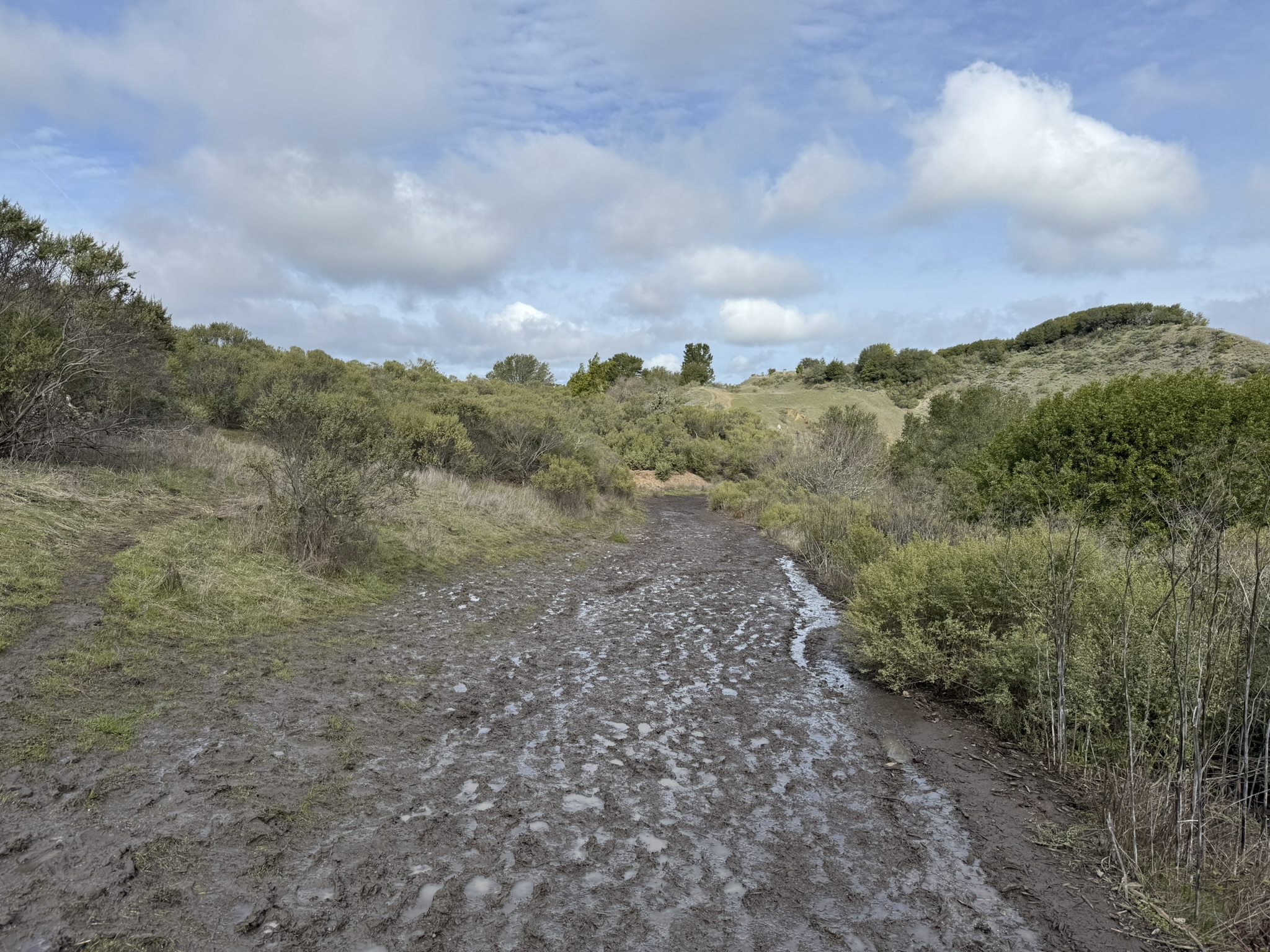 Sibley Volcanic Regional Preserve