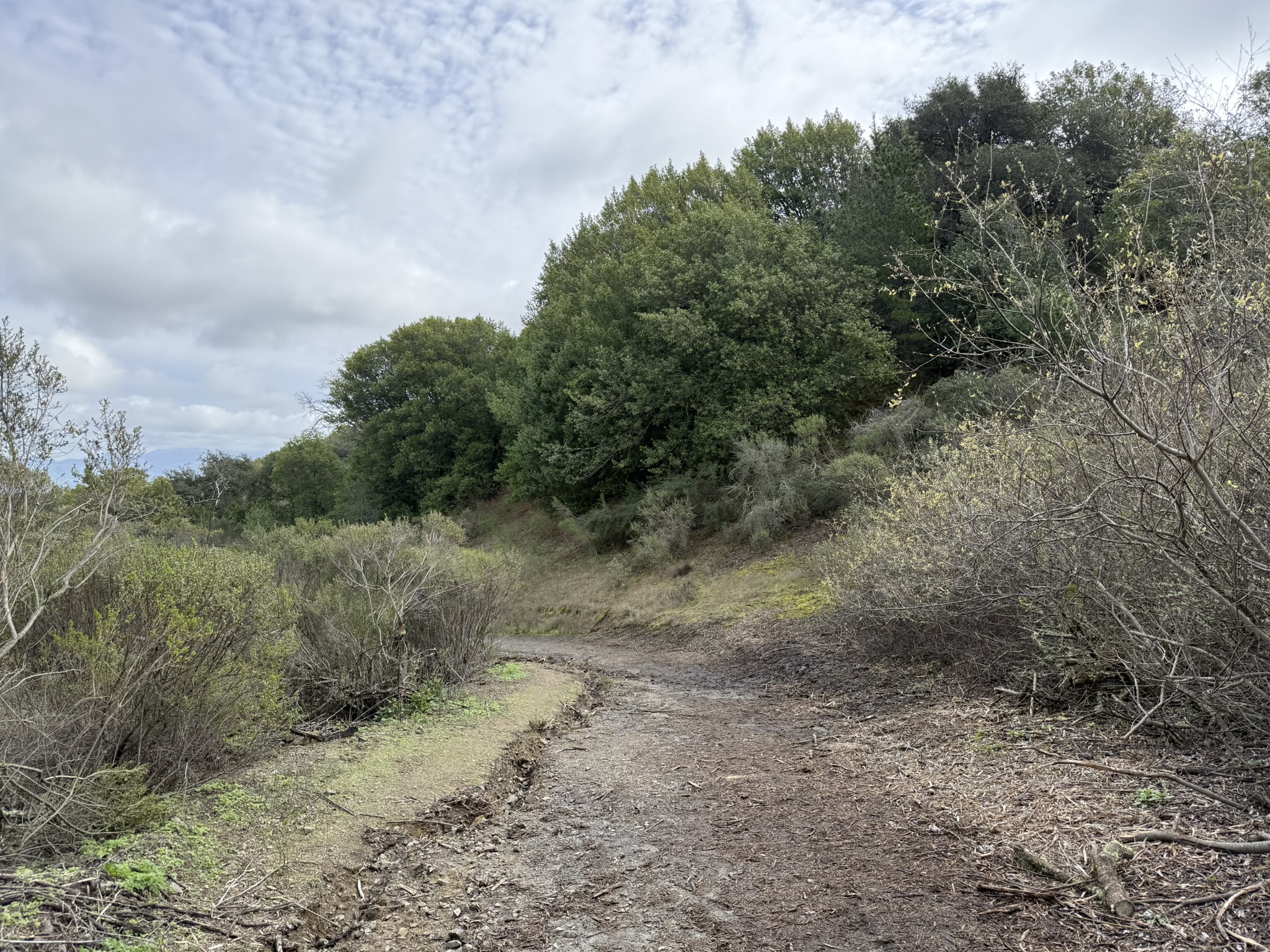 Sibley Volcanic Regional Preserve