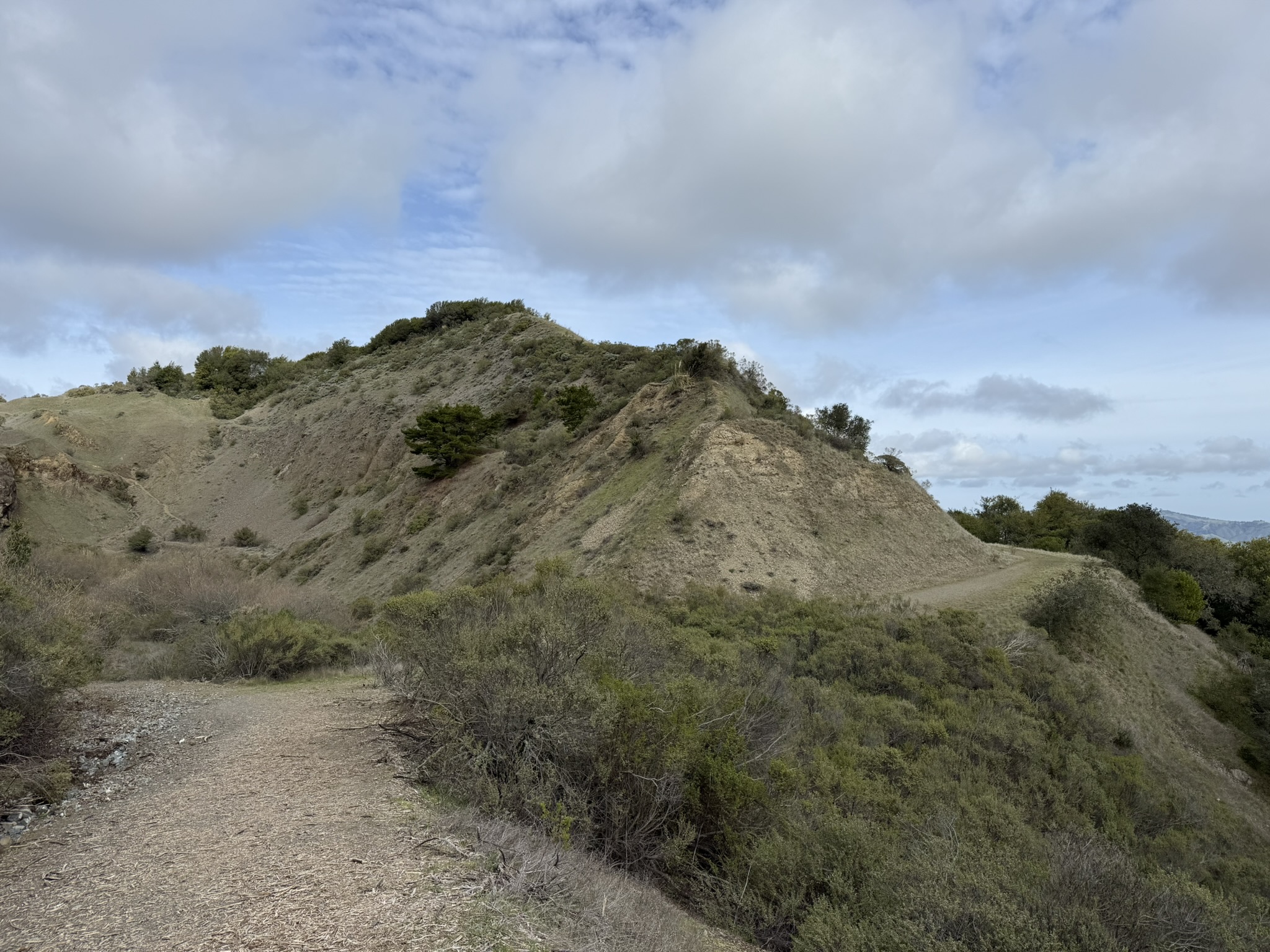 Sibley Volcanic Regional Preserve