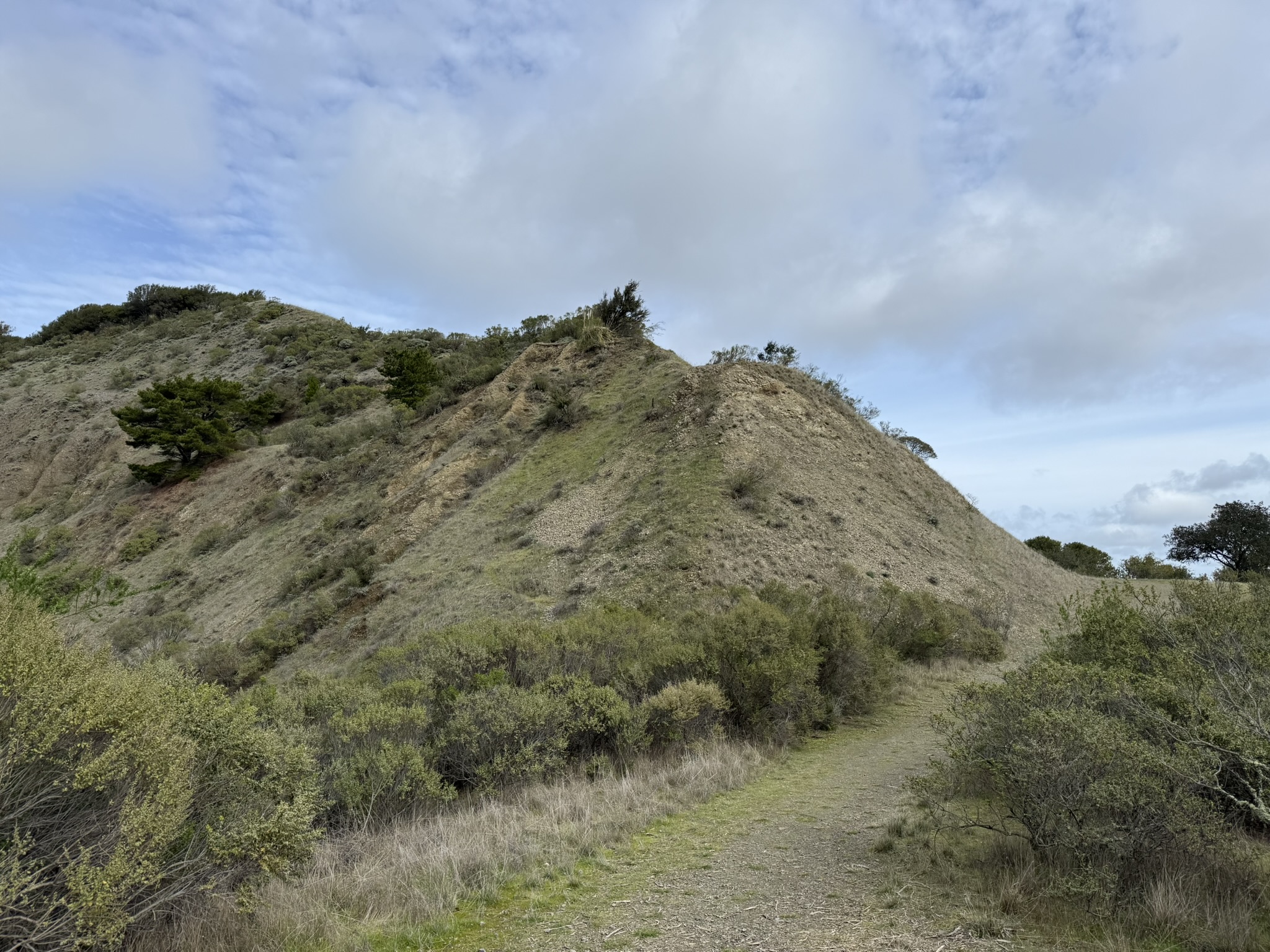 Sibley Volcanic Regional Preserve