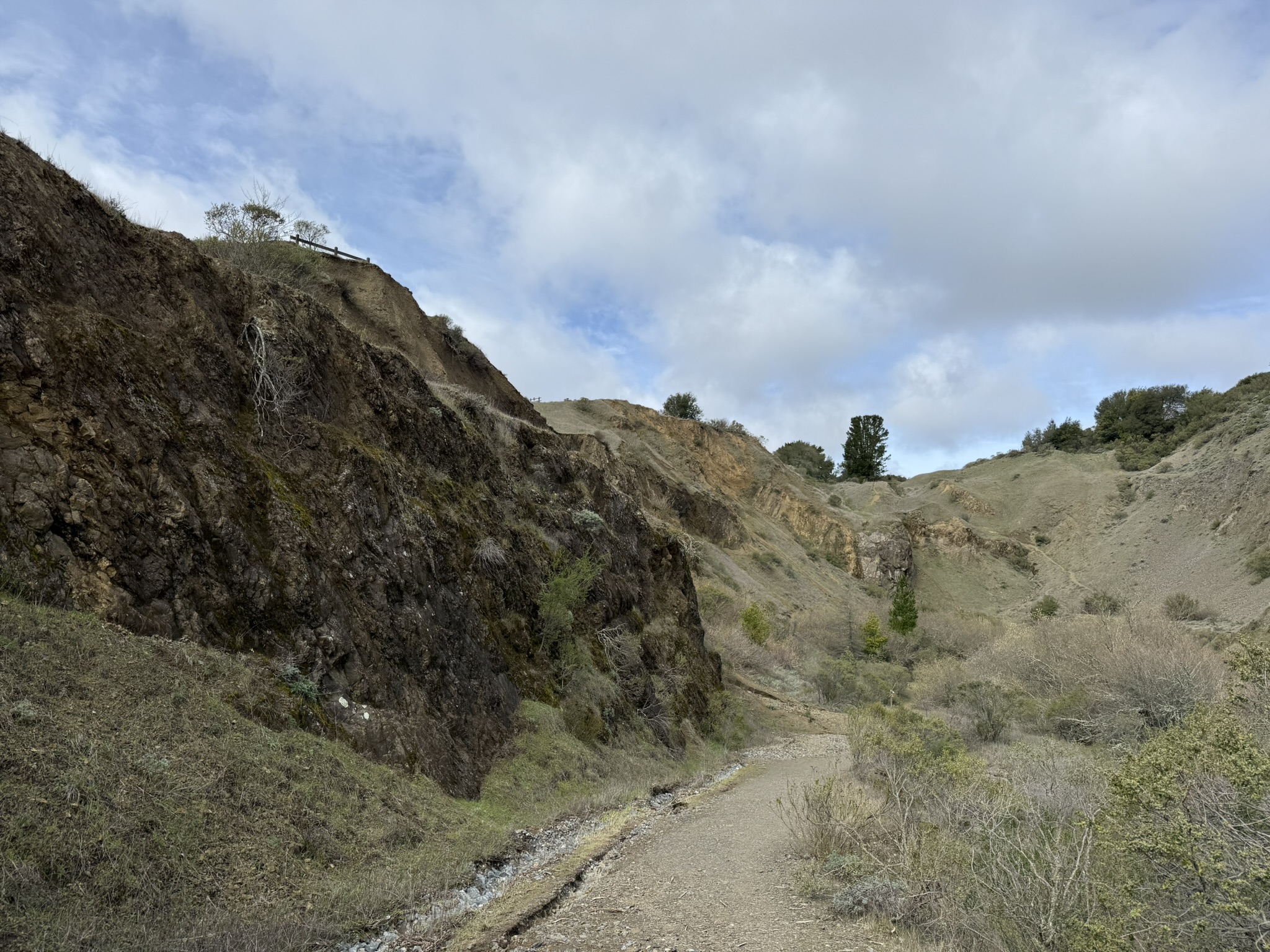 Sibley Volcanic Regional Preserve