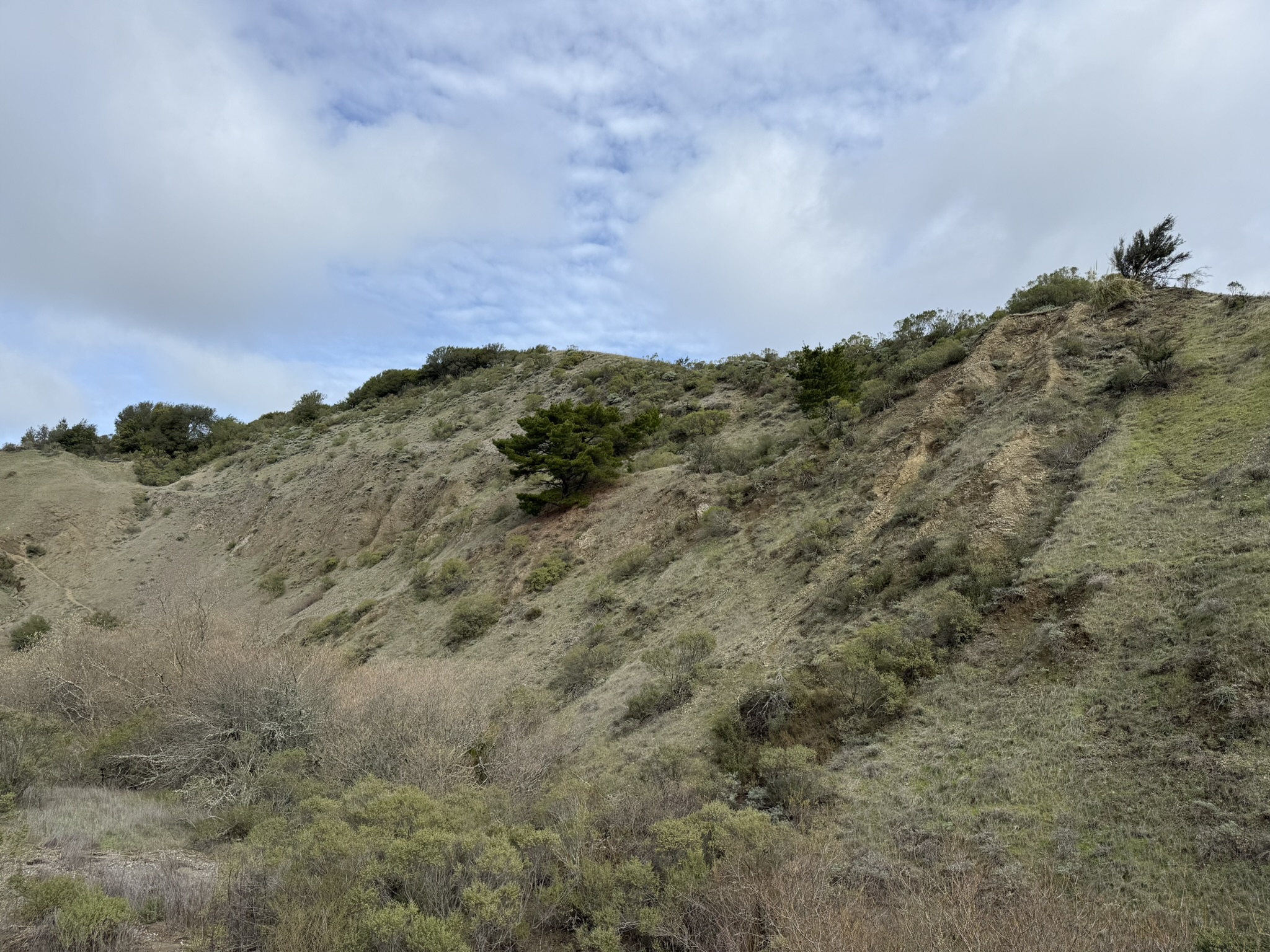 Sibley Volcanic Regional Preserve