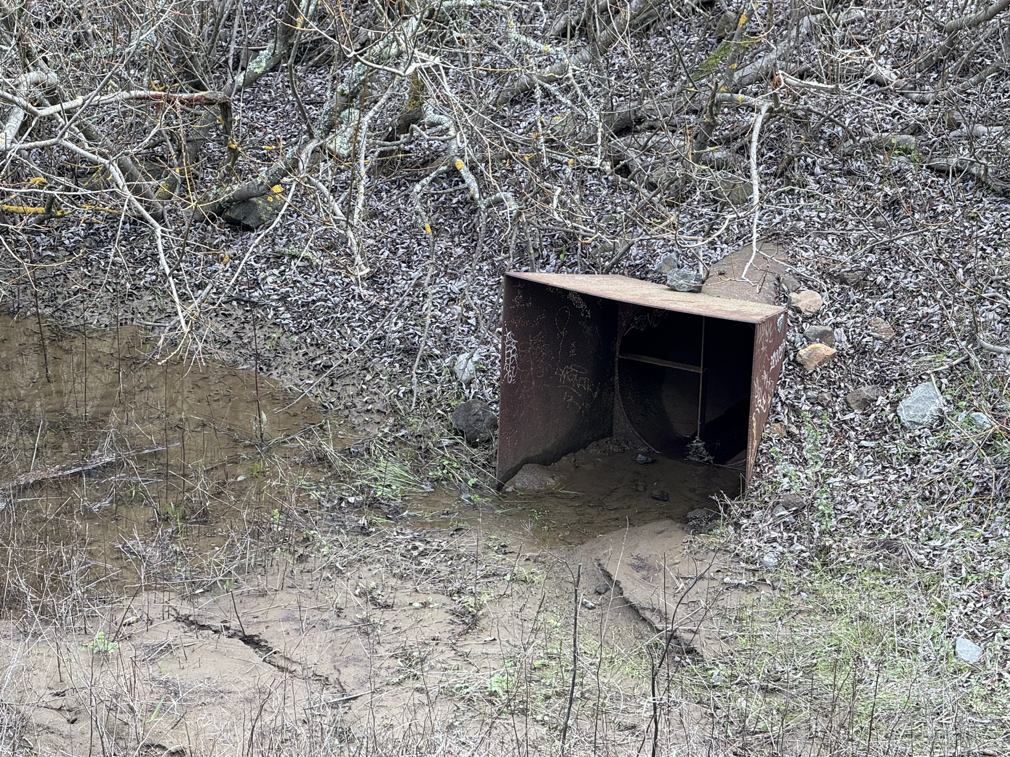 Sibley Volcanic Regional Preserve