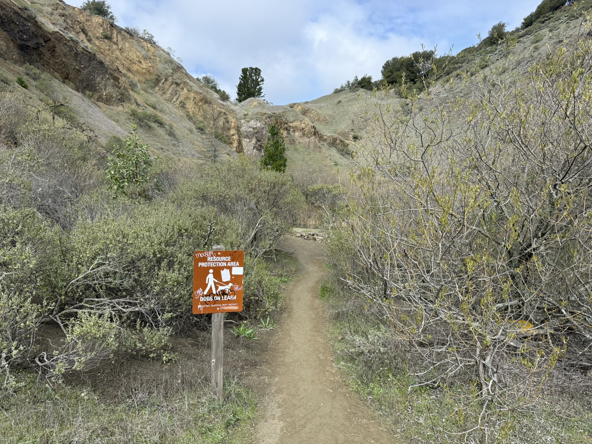 Sibley Volcanic Regional Preserve