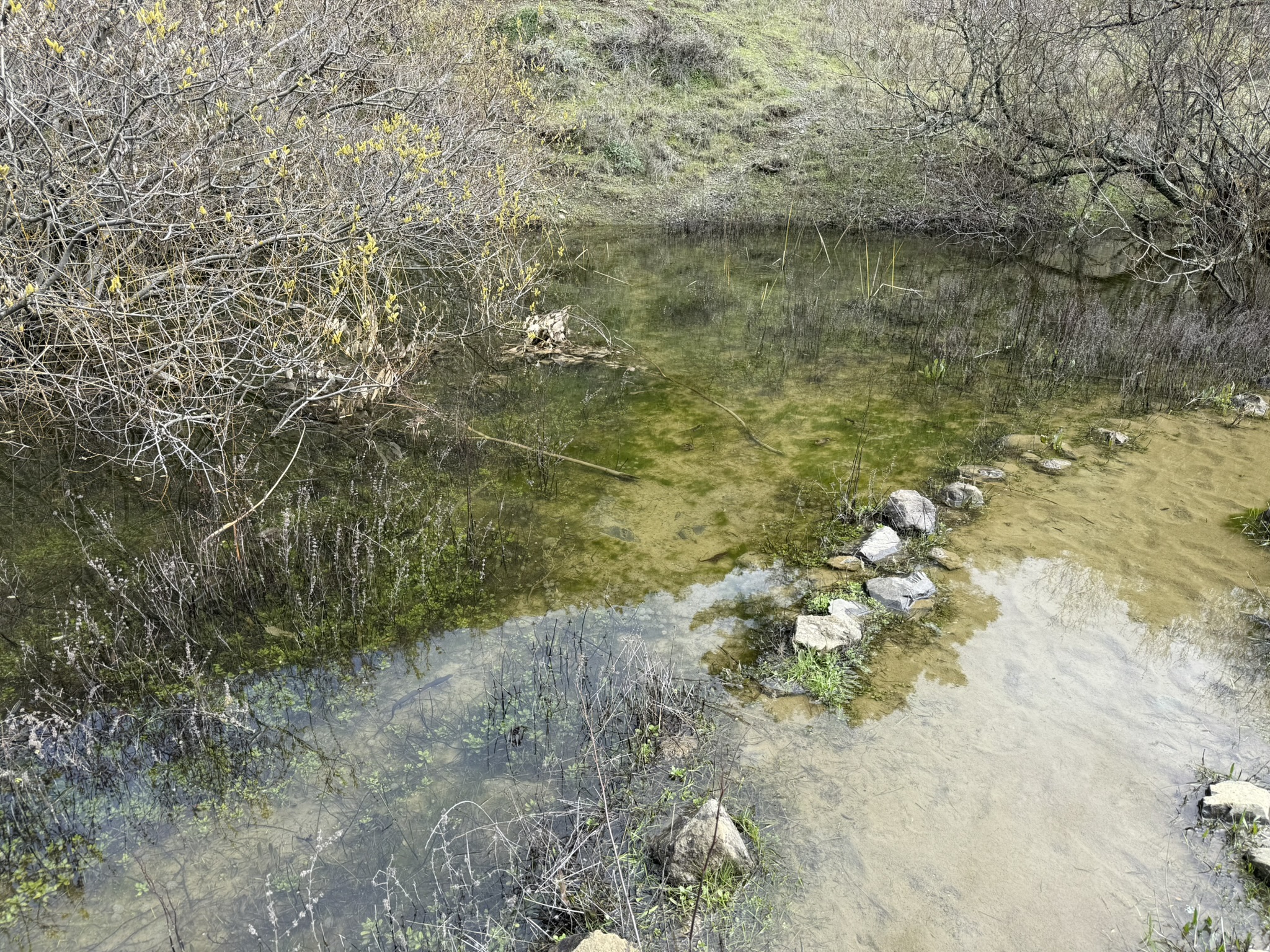 Sibley Volcanic Regional Preserve