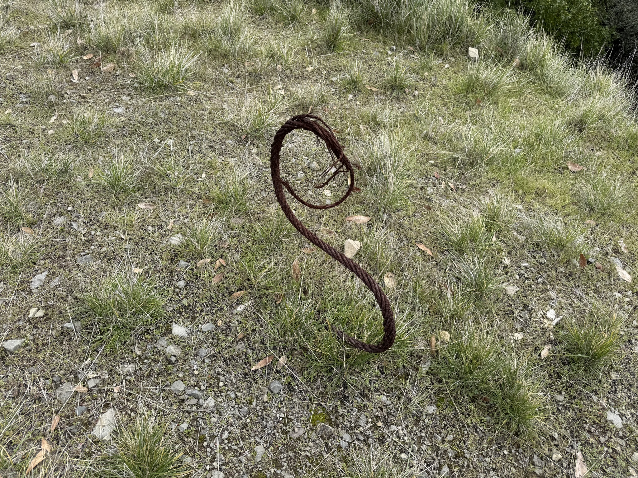 Sibley Volcanic Regional Preserve