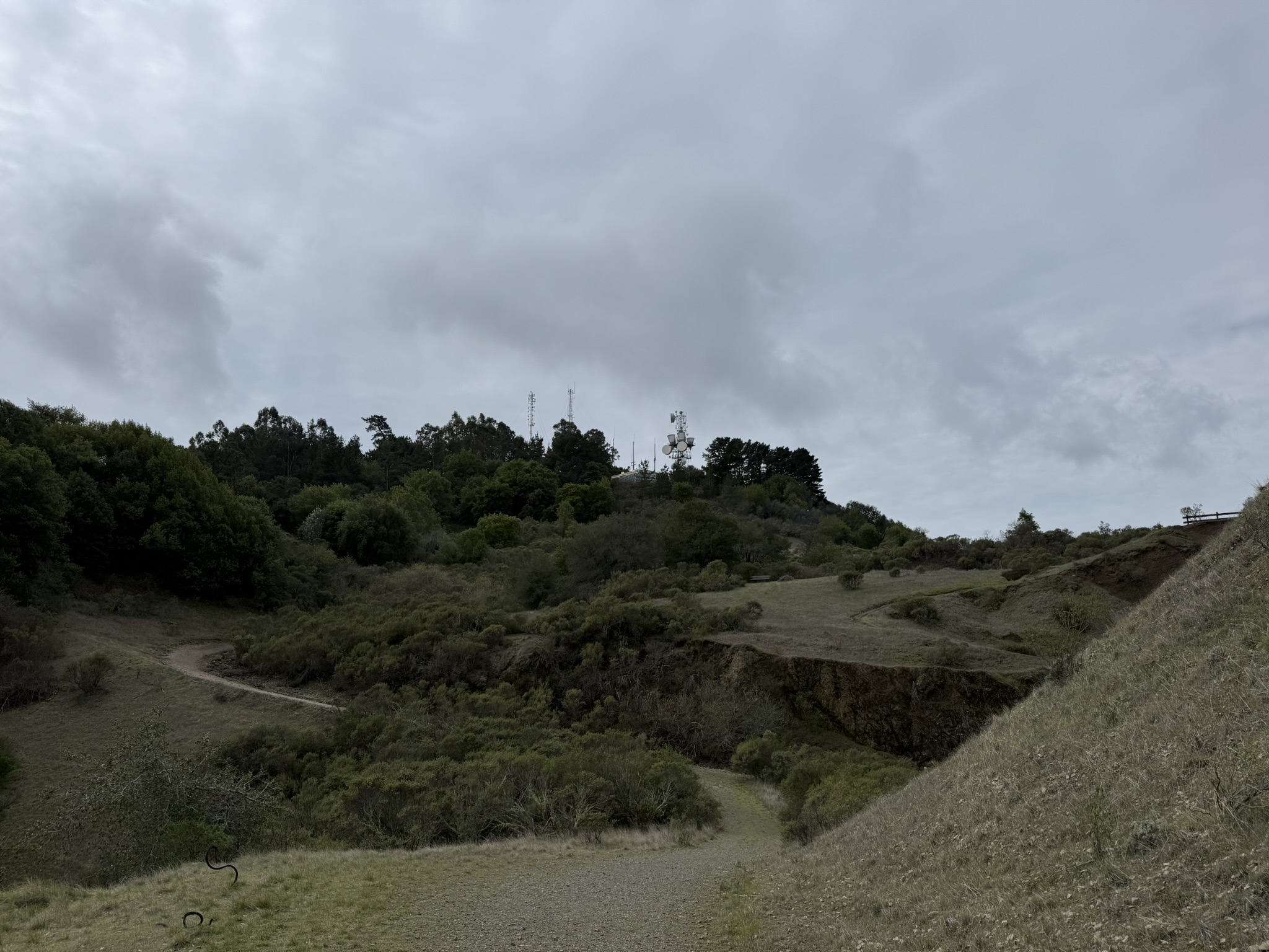 Sibley Volcanic Regional Preserve