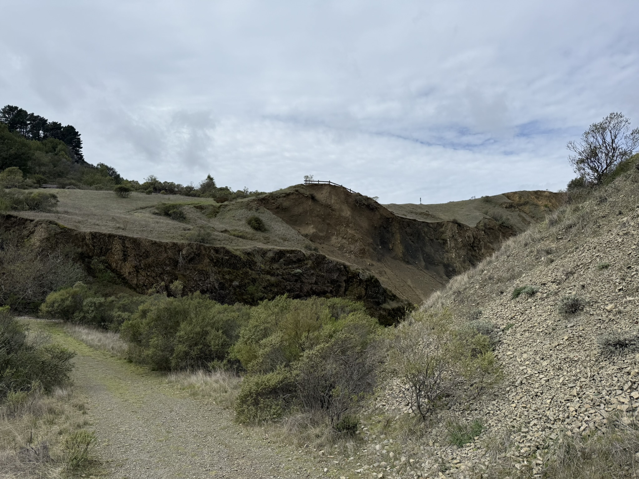 Sibley Volcanic Regional Preserve