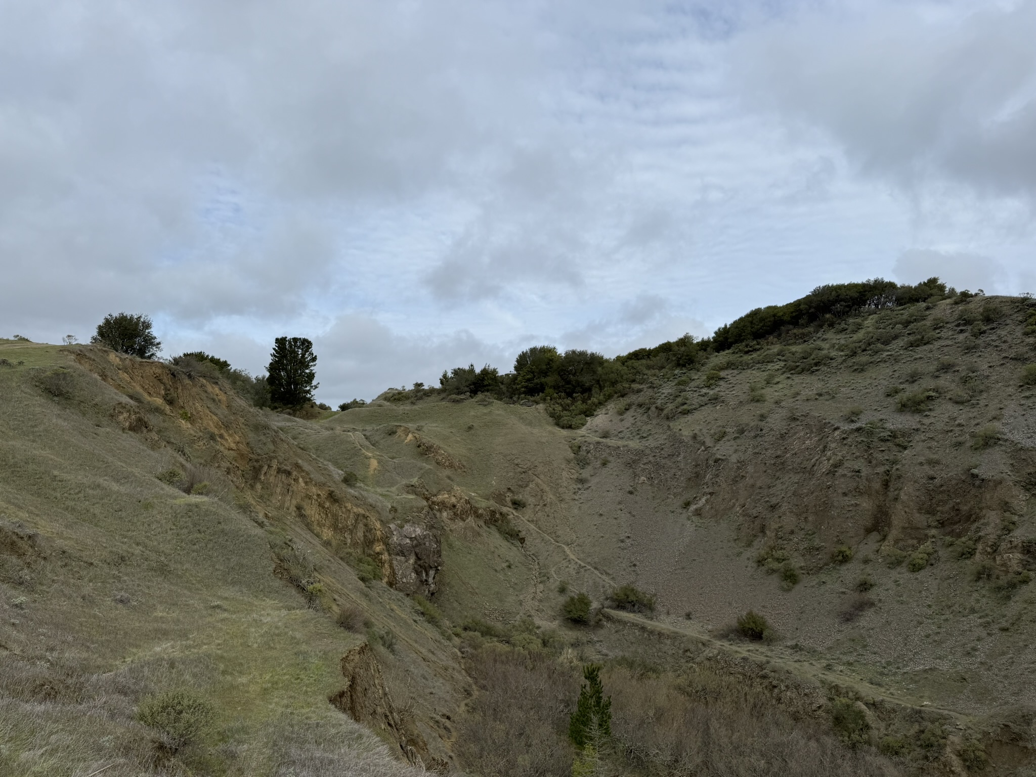 Sibley Volcanic Regional Preserve