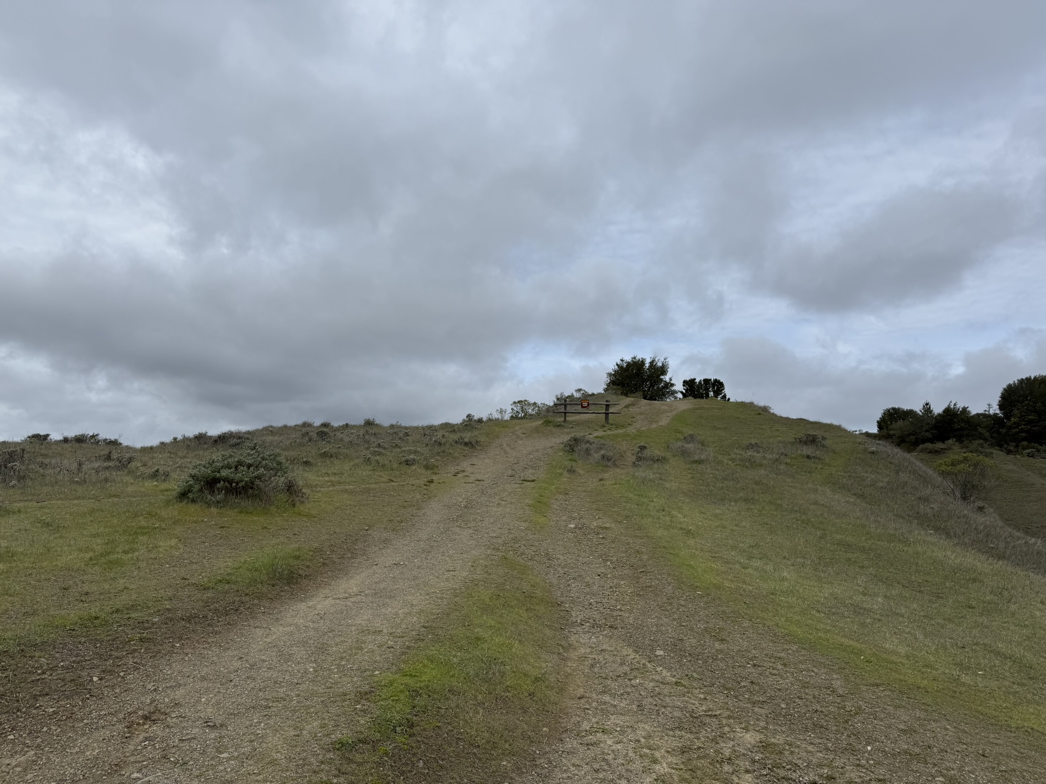 Sibley Volcanic Regional Preserve