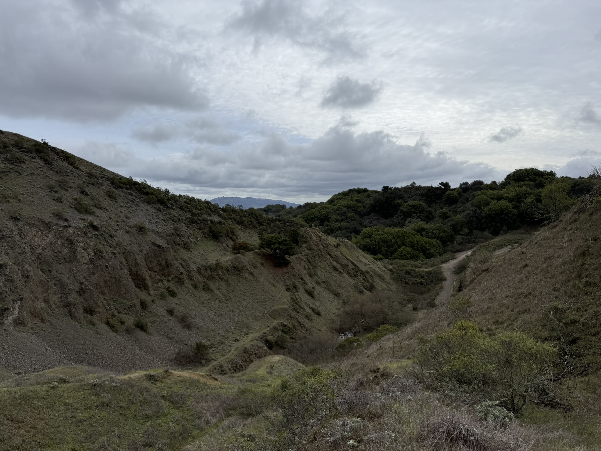 Sibley Volcanic Regional Preserve