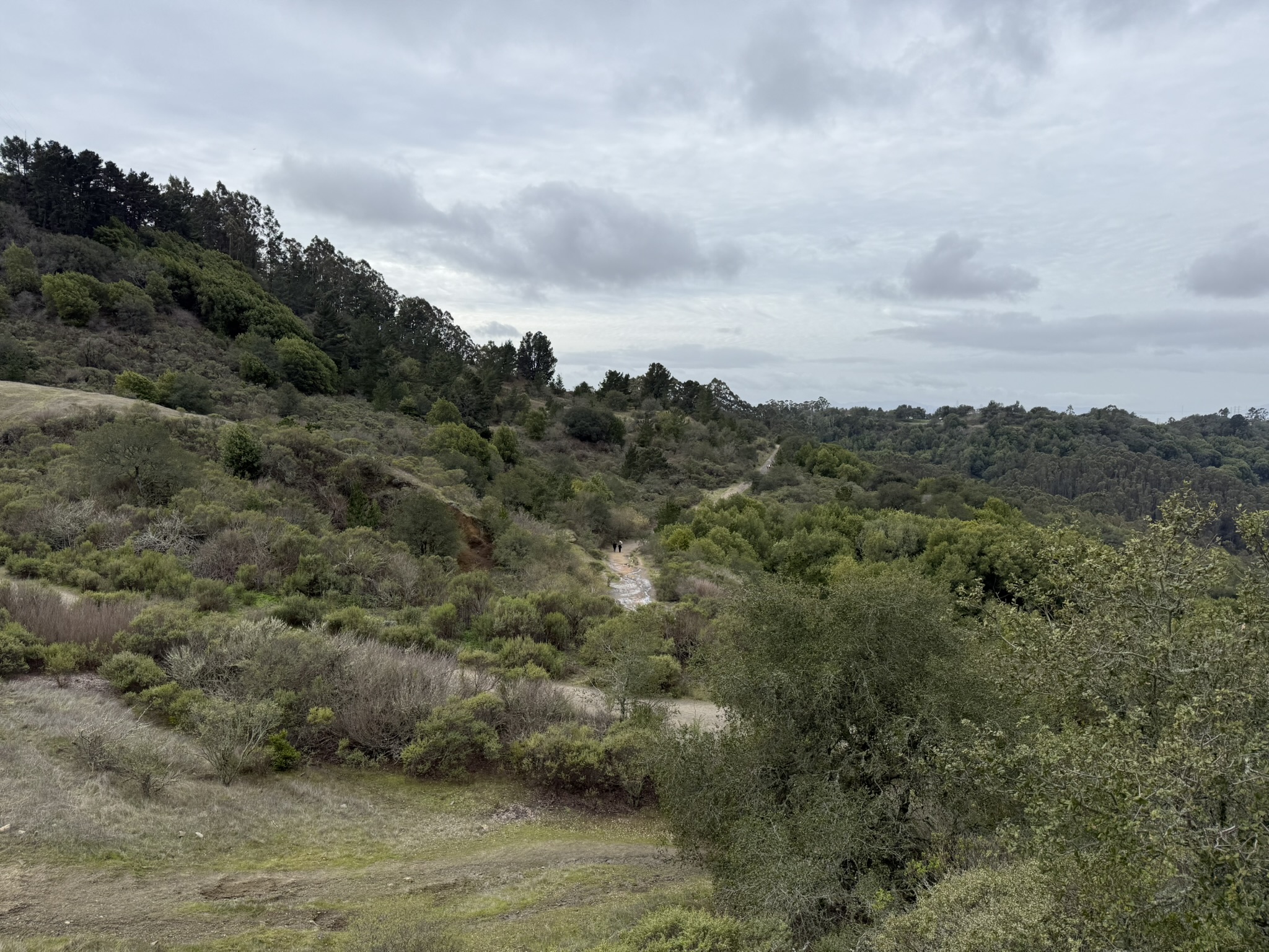 Sibley Volcanic Regional Preserve