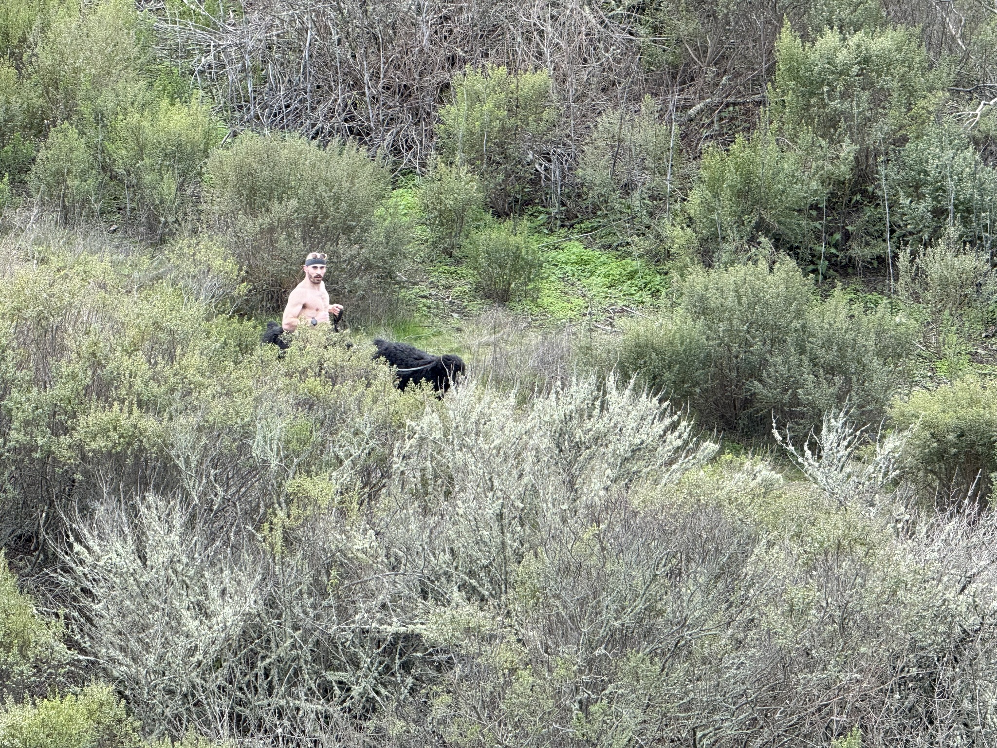 Sibley Volcanic Regional Preserve