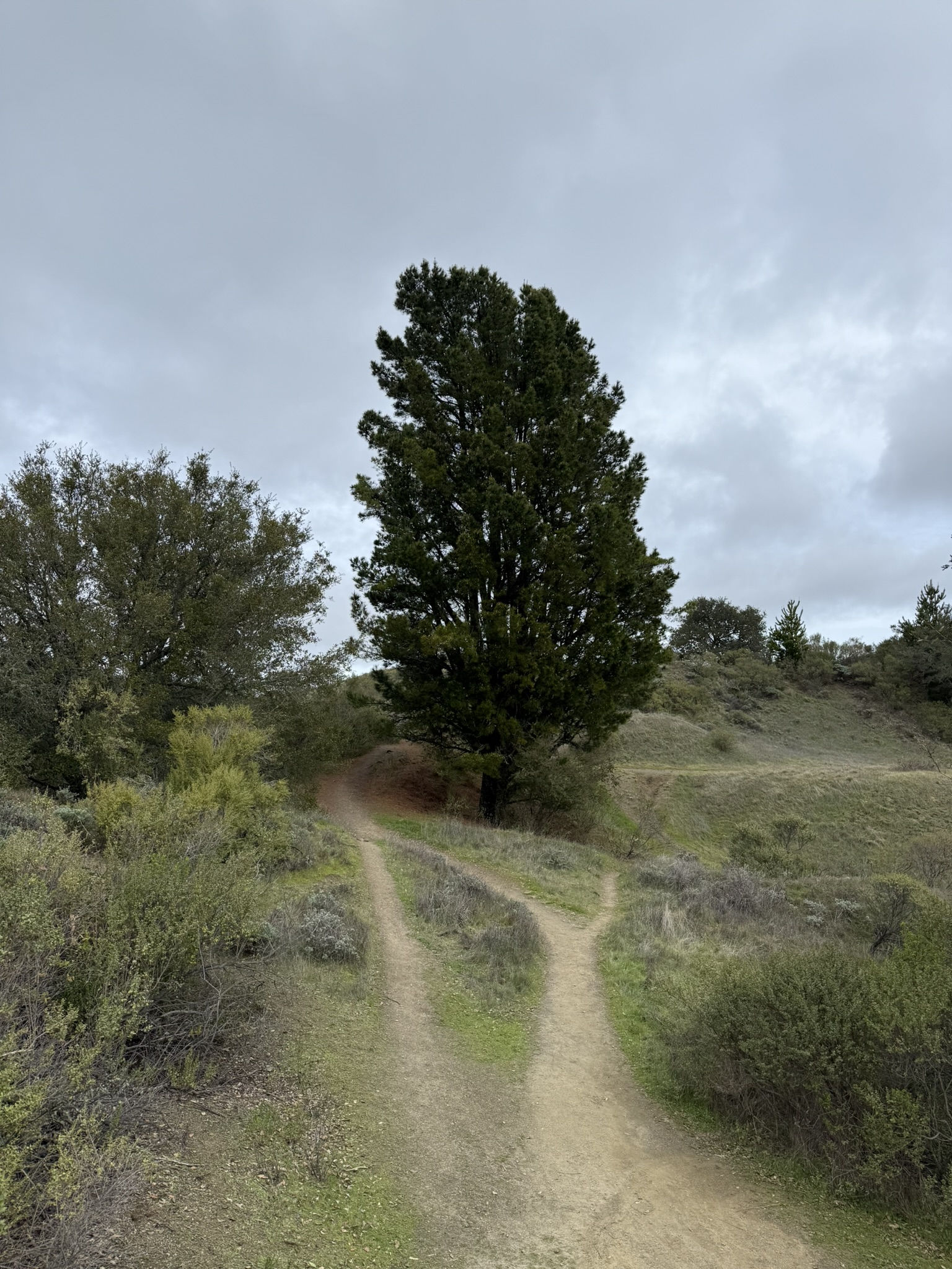 Sibley Volcanic Regional Preserve