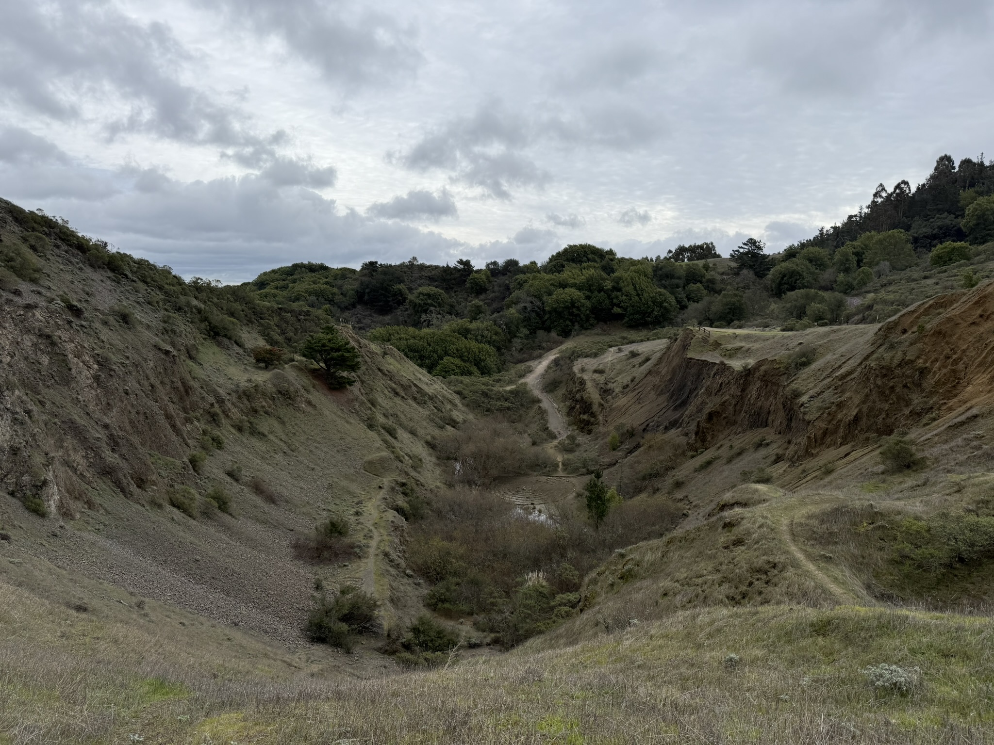 Sibley Volcanic Regional Preserve