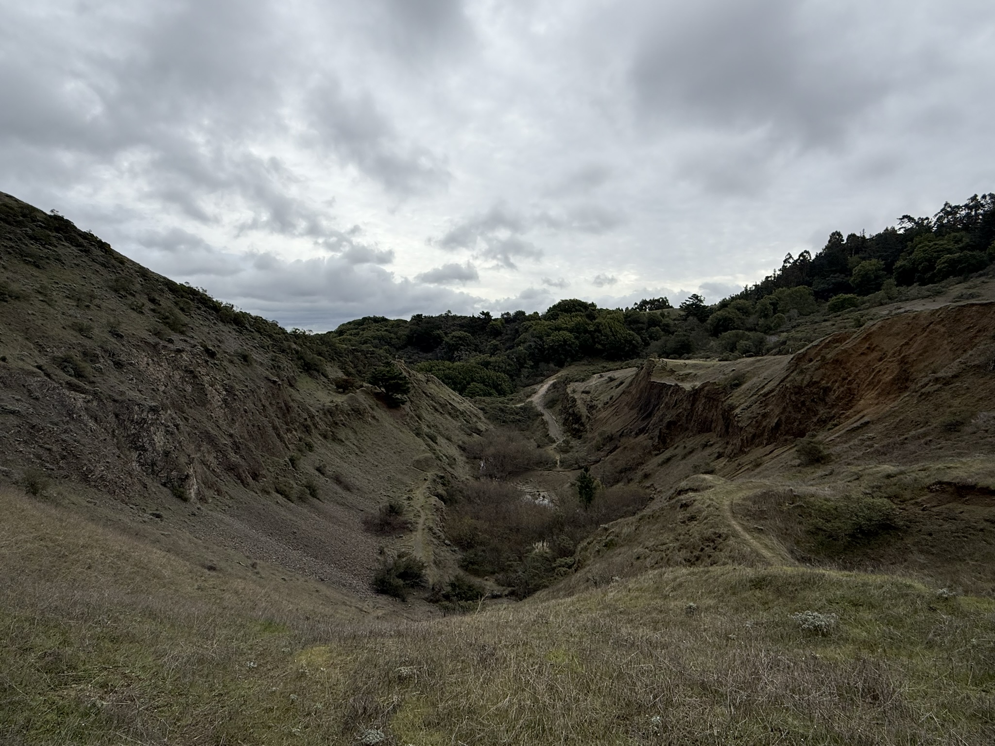 Sibley Volcanic Regional Preserve