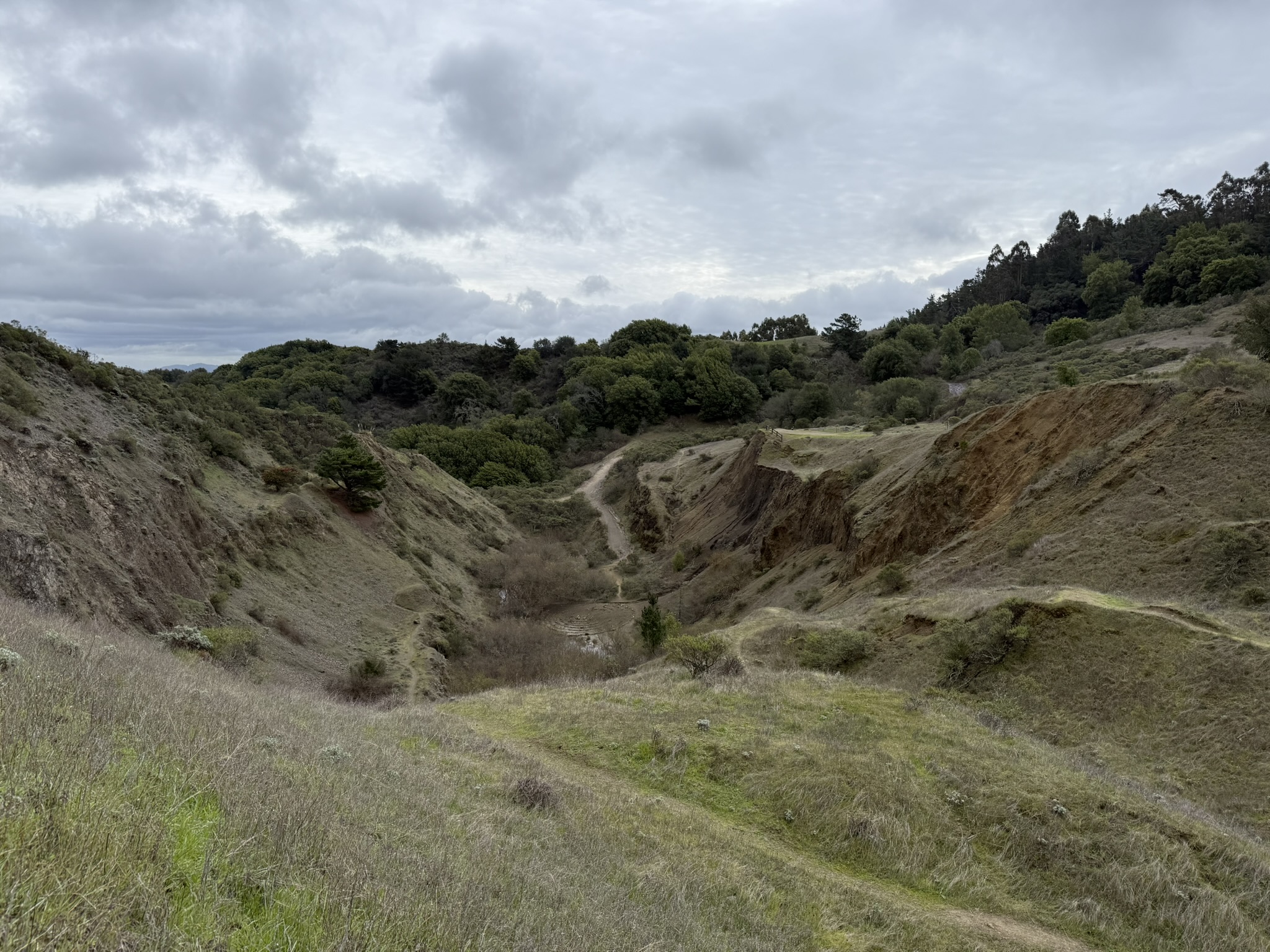 Sibley Volcanic Regional Preserve