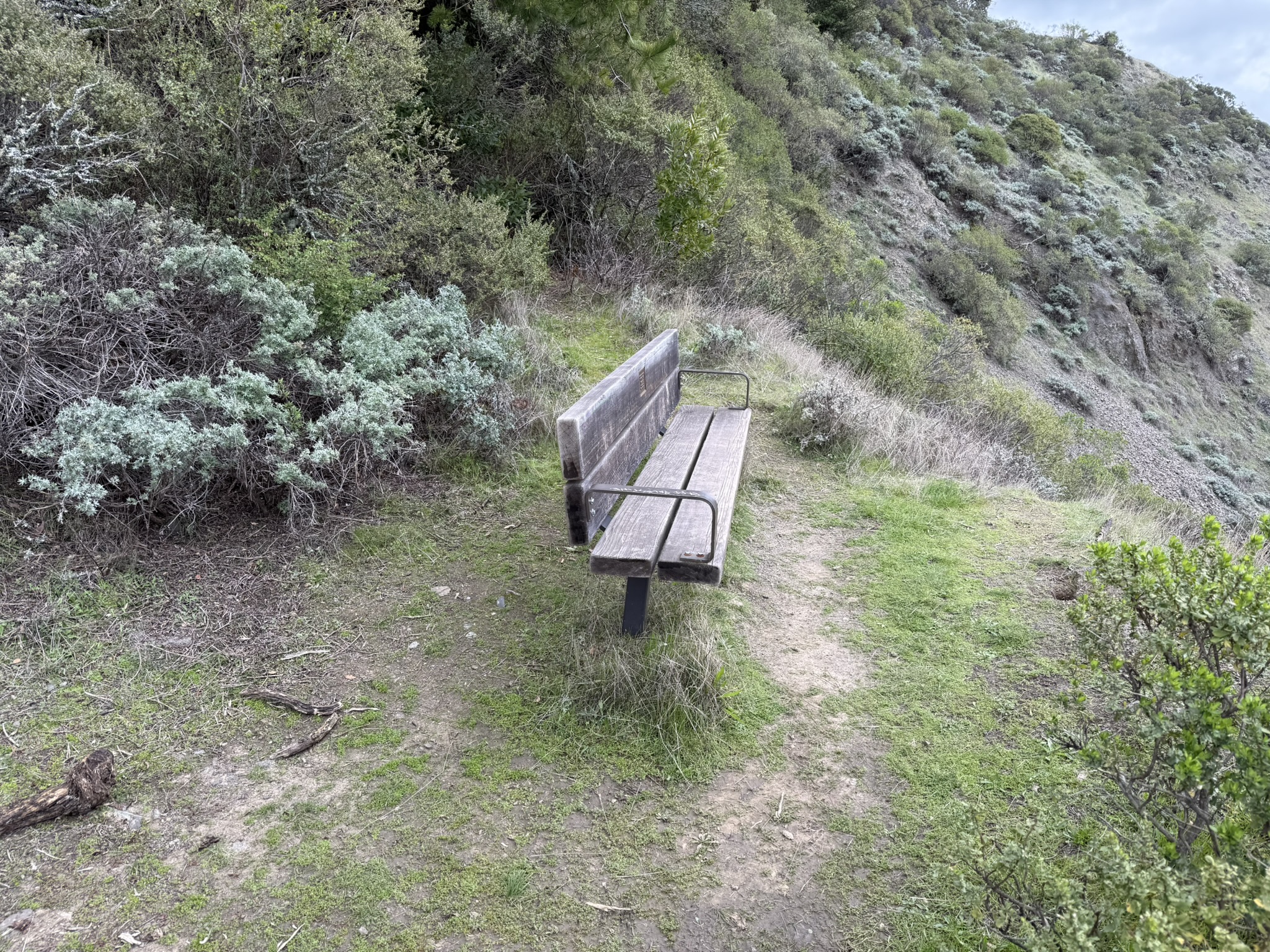 Sibley Volcanic Regional Preserve