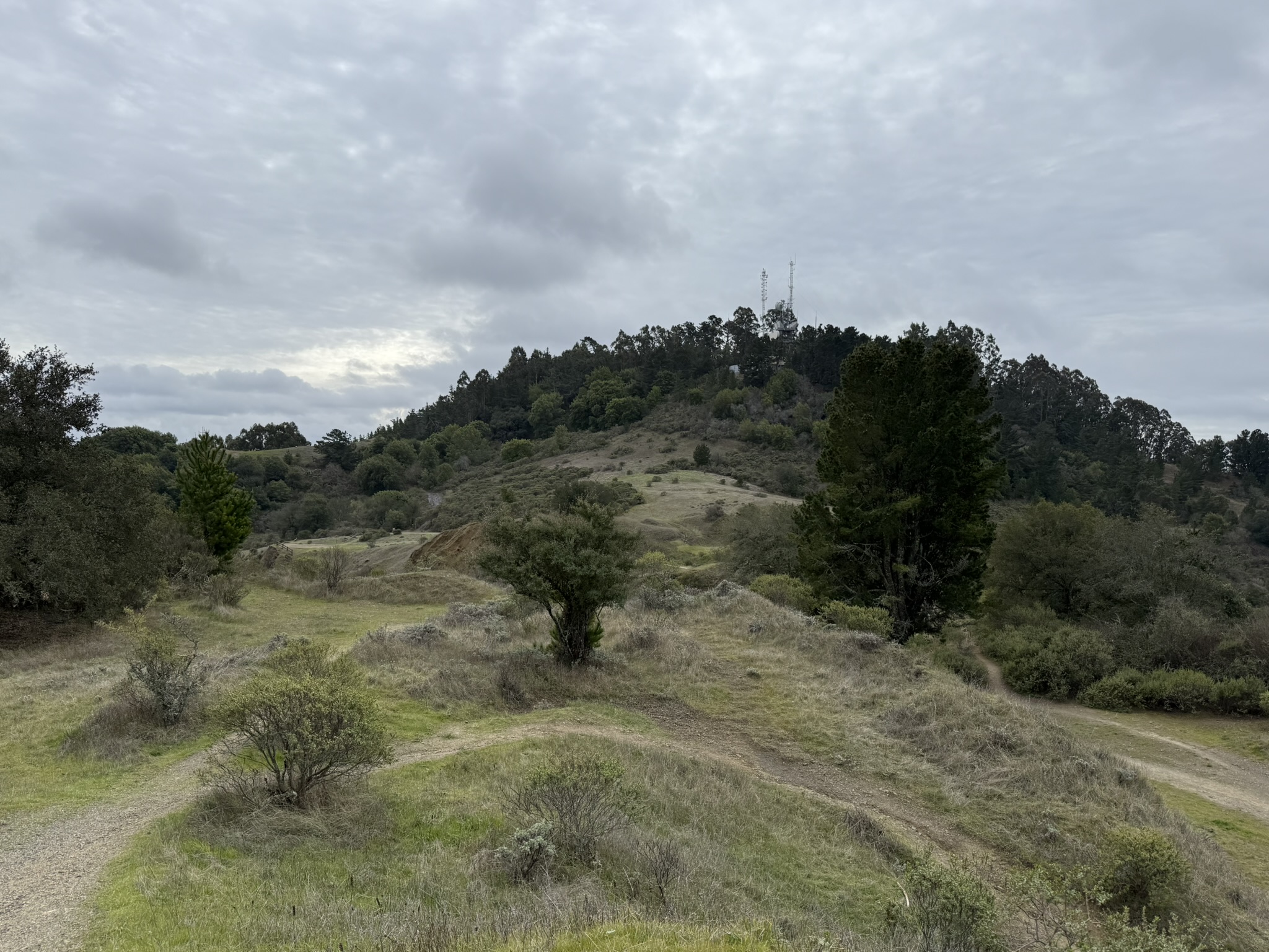 Sibley Volcanic Regional Preserve