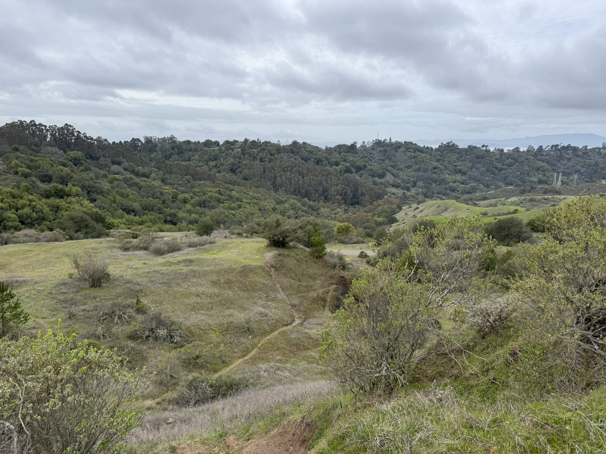 Sibley Volcanic Regional Preserve