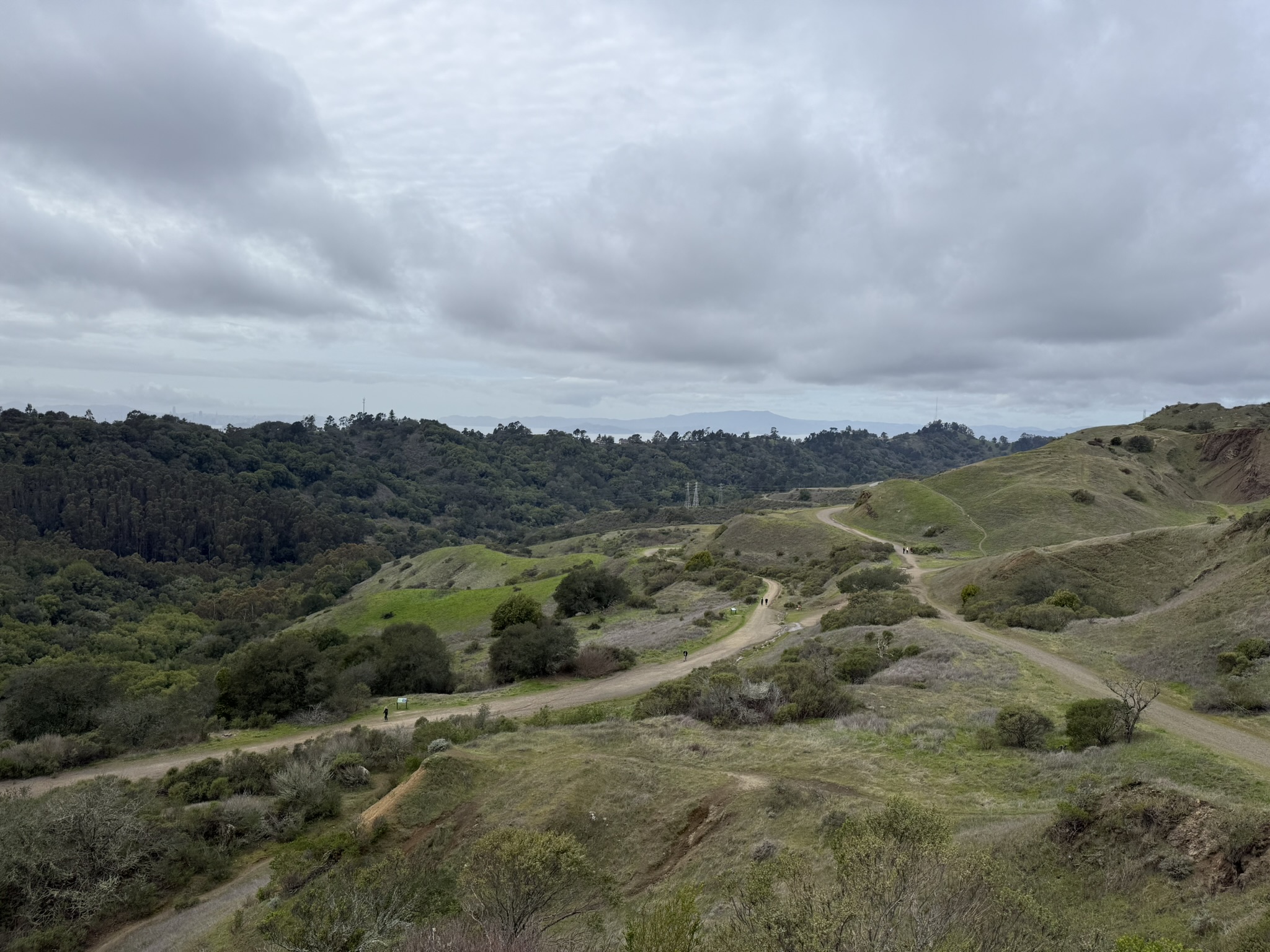 Sibley Volcanic Regional Preserve