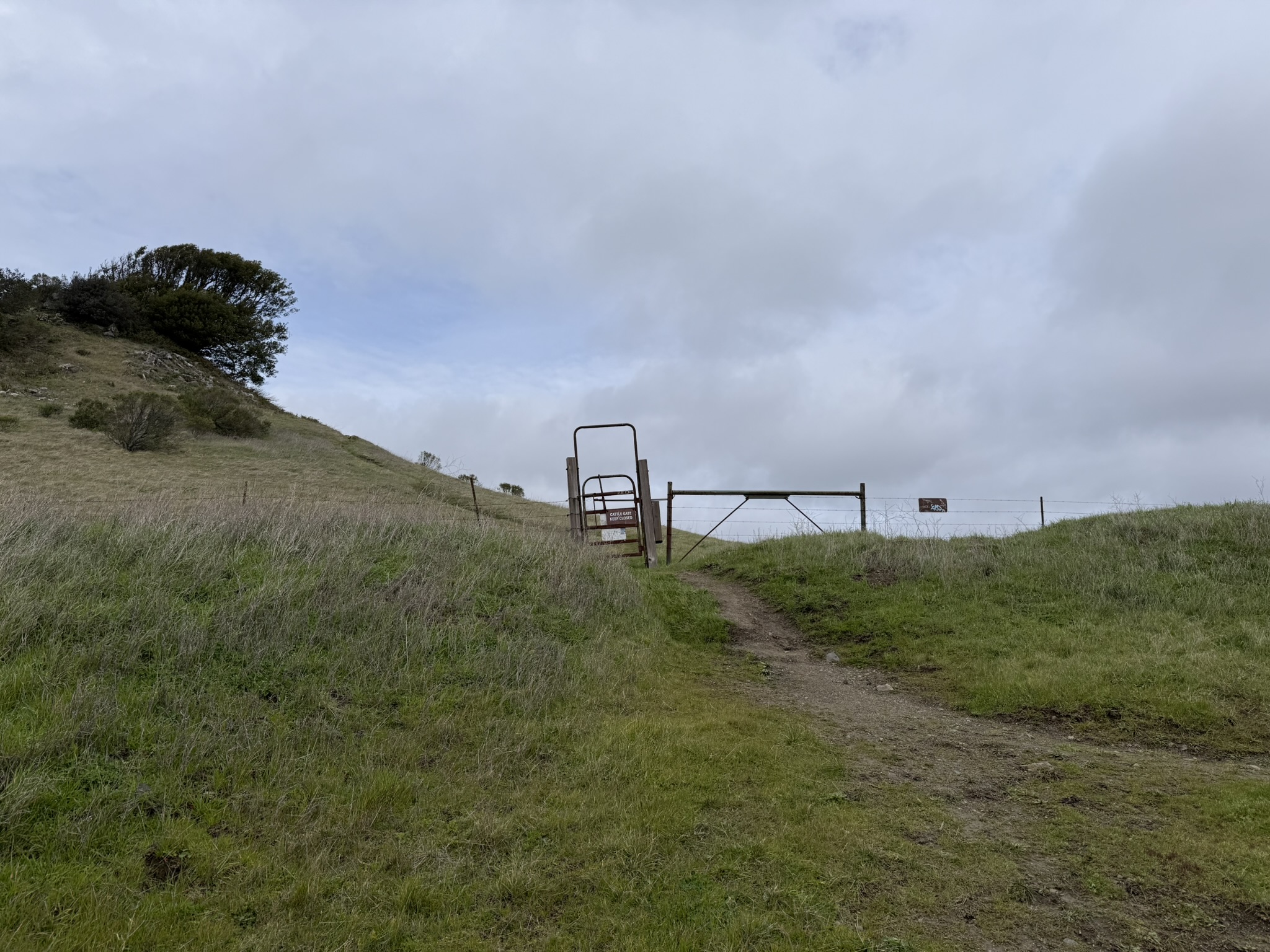 Sibley Volcanic Regional Preserve