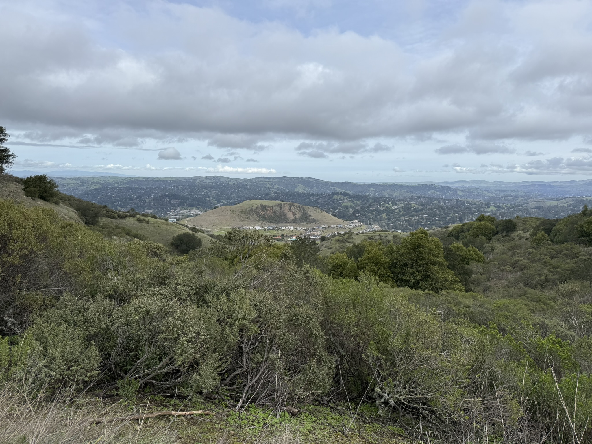 Sibley Volcanic Regional Preserve