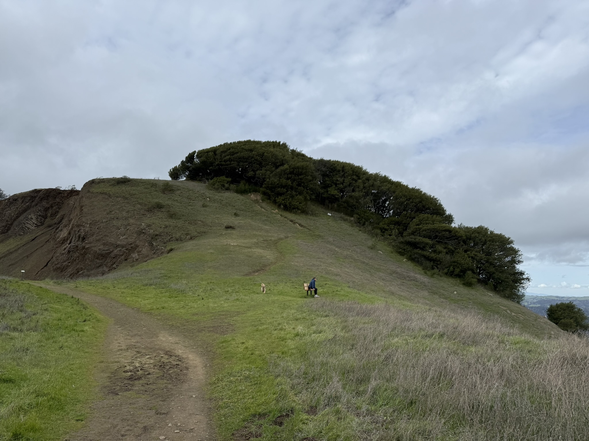 Sibley Volcanic Regional Preserve