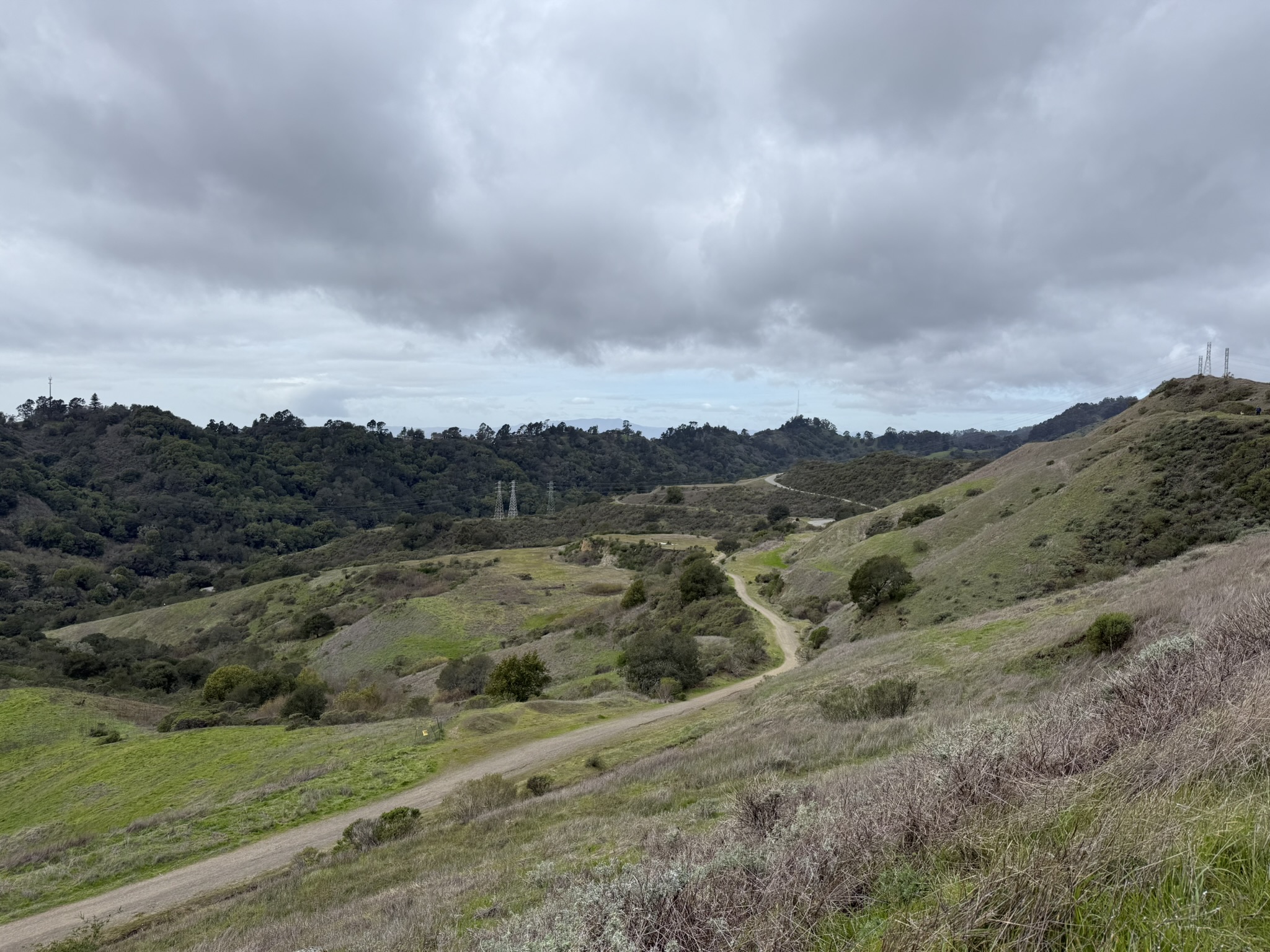 Sibley Volcanic Regional Preserve