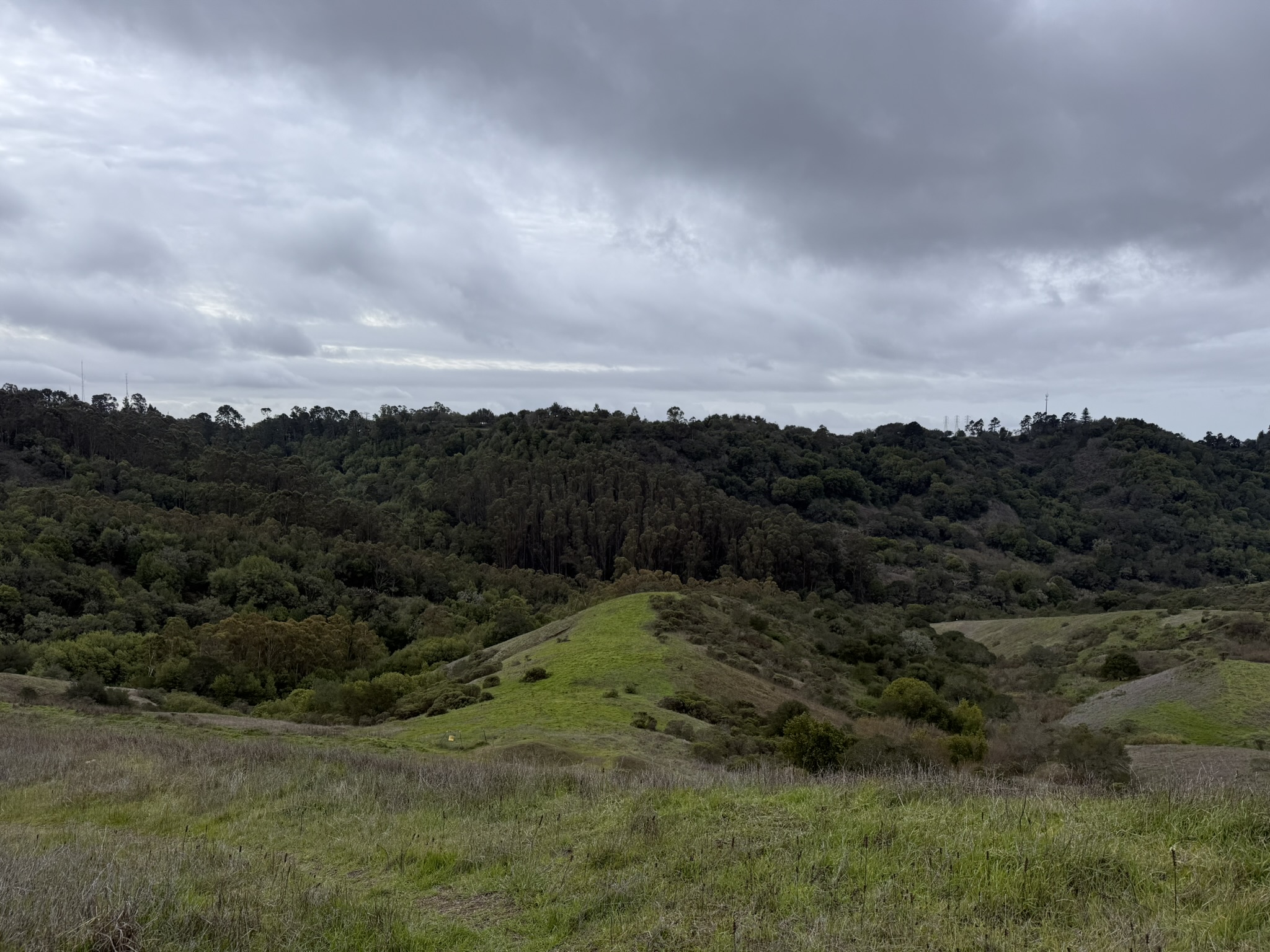 Sibley Volcanic Regional Preserve