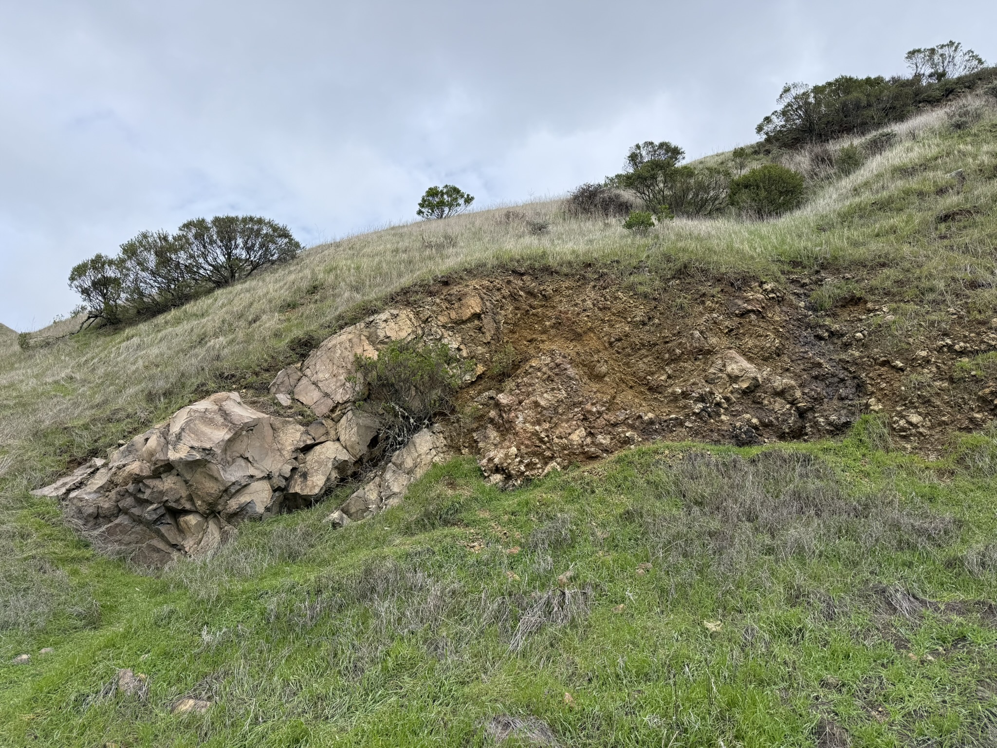 Sibley Volcanic Regional Preserve