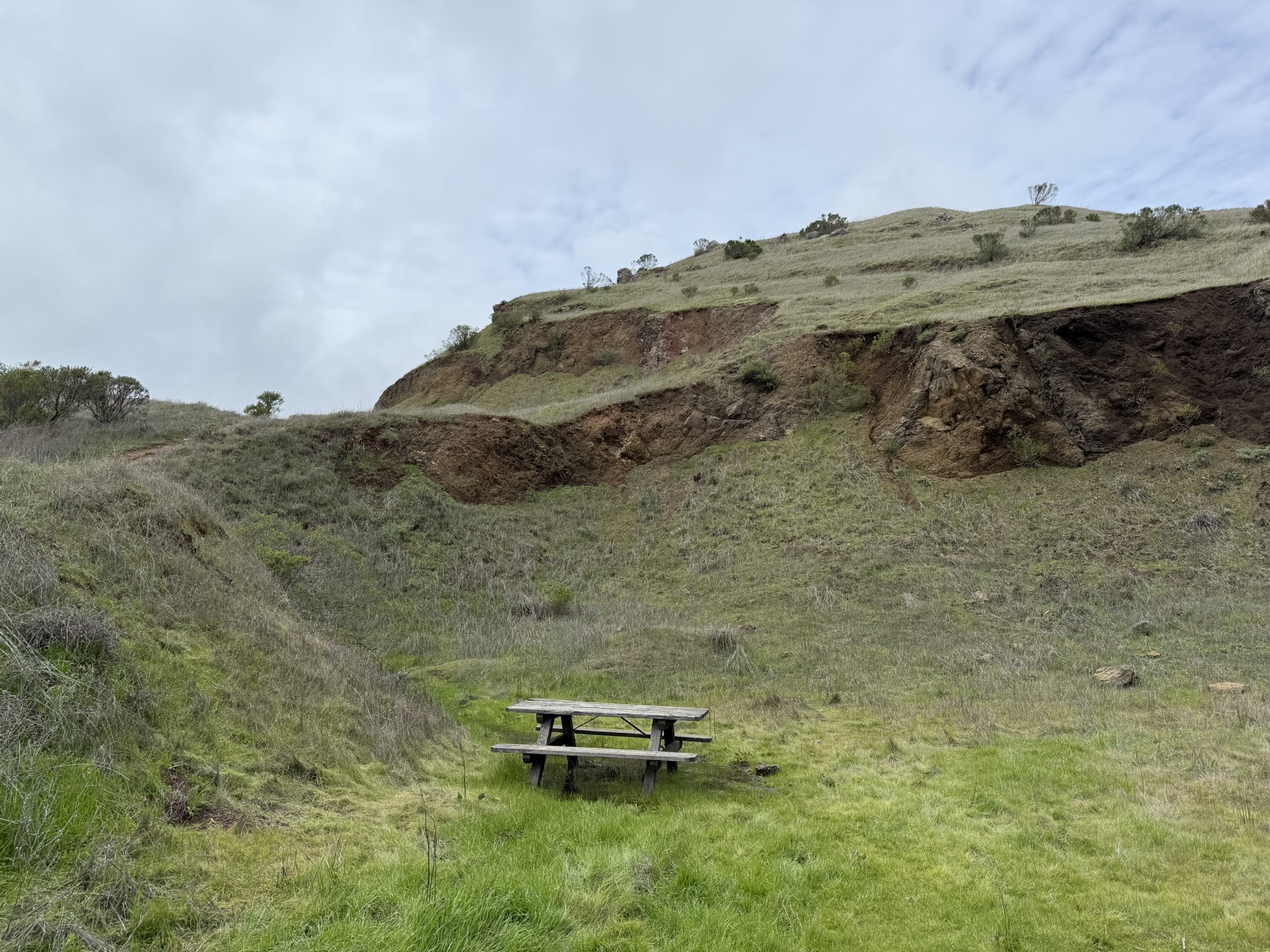 Sibley Volcanic Regional Preserve