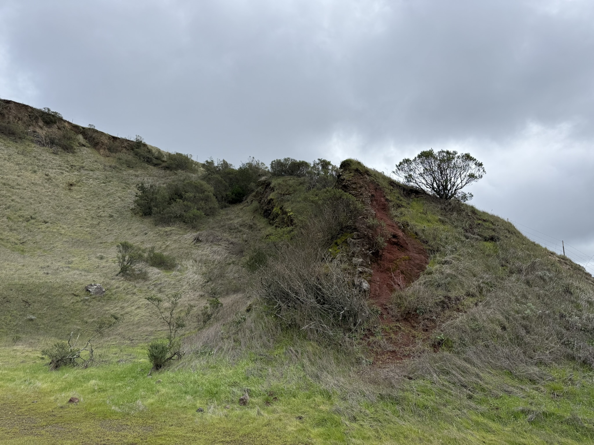 Sibley Volcanic Regional Preserve