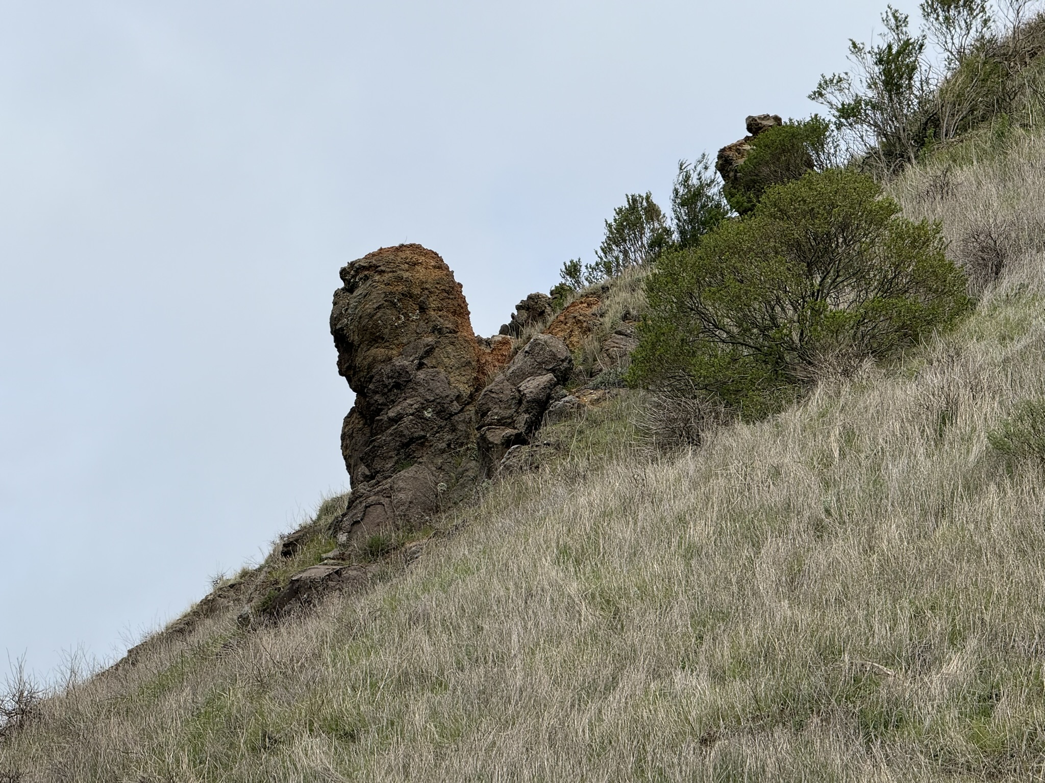 Sibley Volcanic Regional Preserve