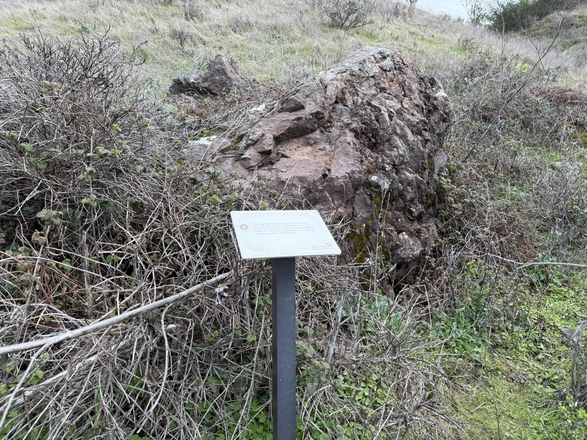 Sibley Volcanic Regional Preserve