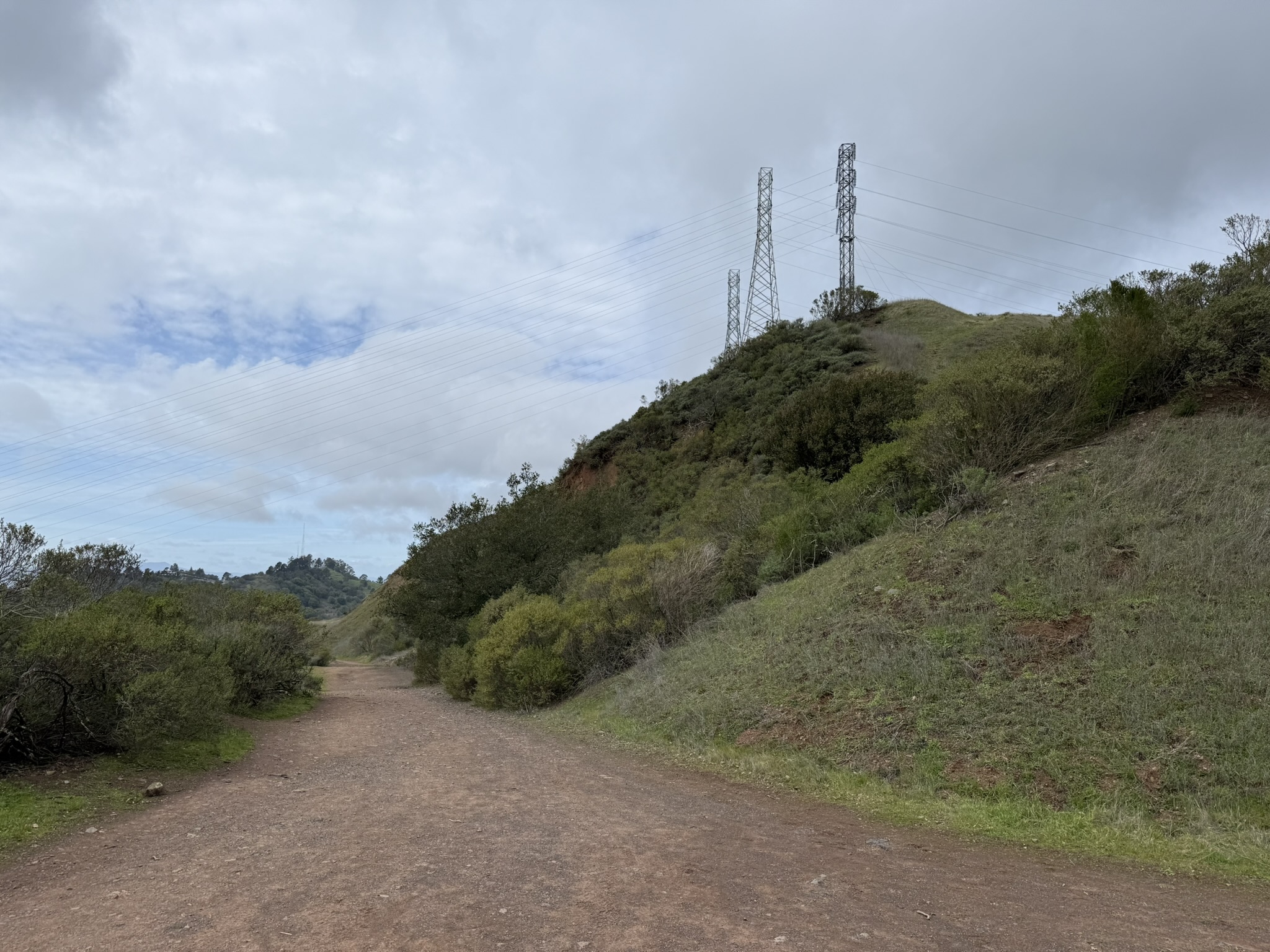 Sibley Volcanic Regional Preserve