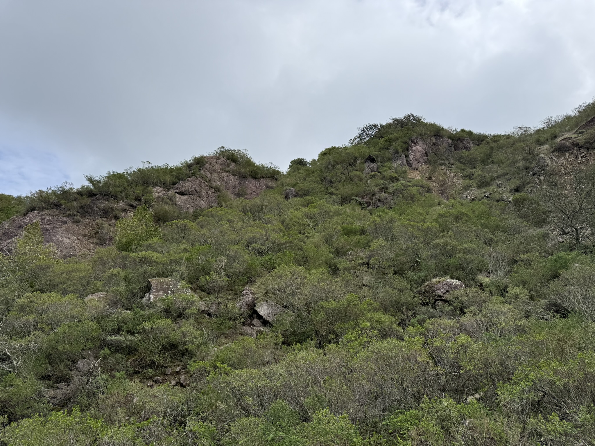 Sibley Volcanic Regional Preserve