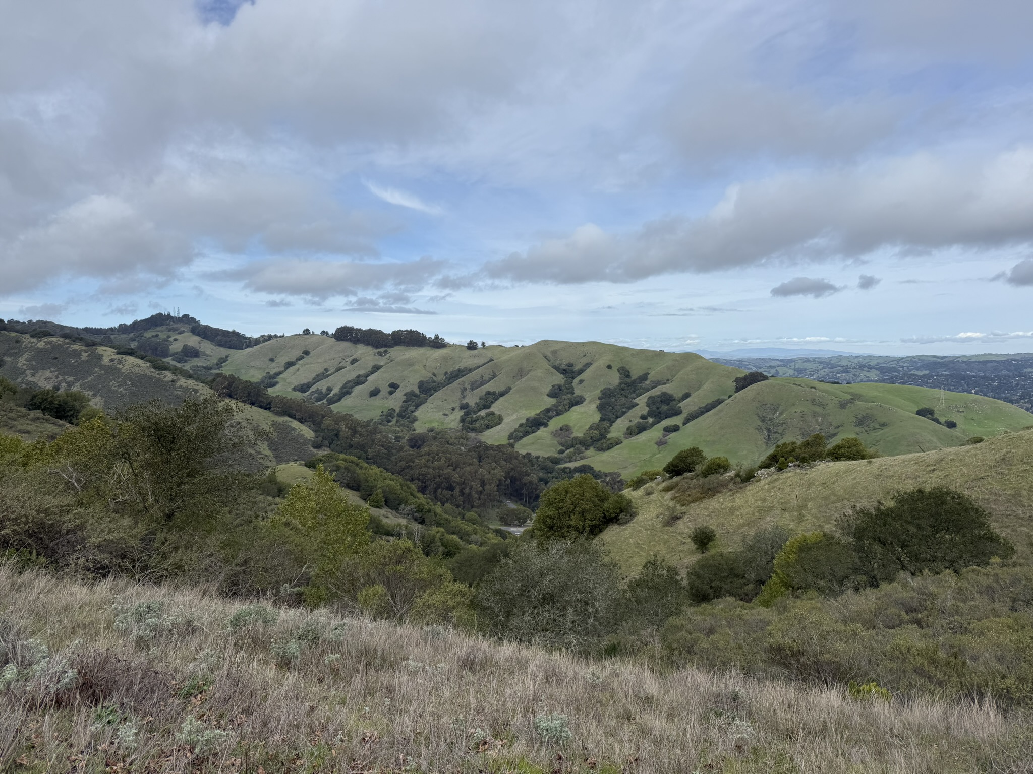 Sibley Volcanic Regional Preserve