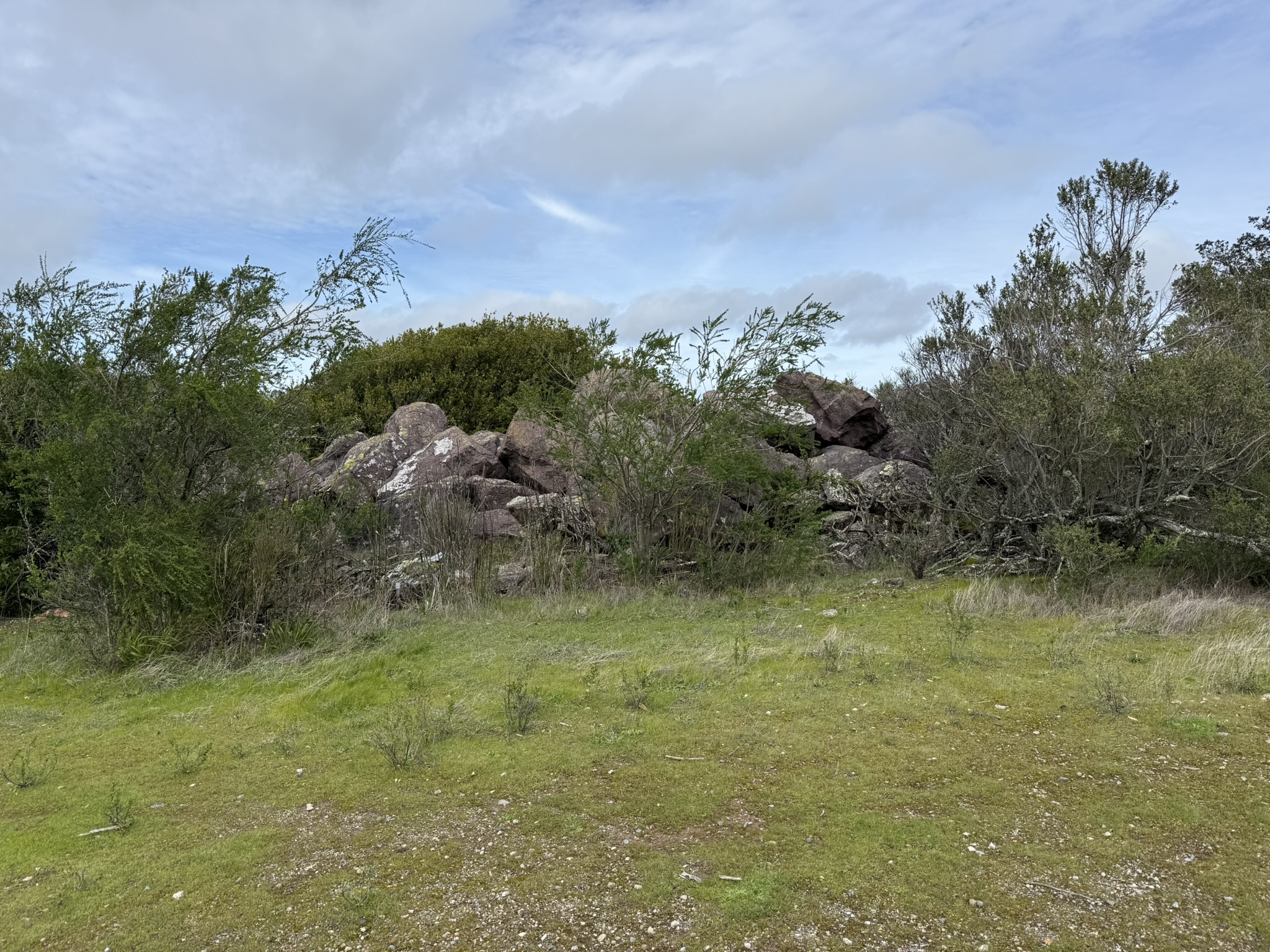 Sibley Volcanic Regional Preserve