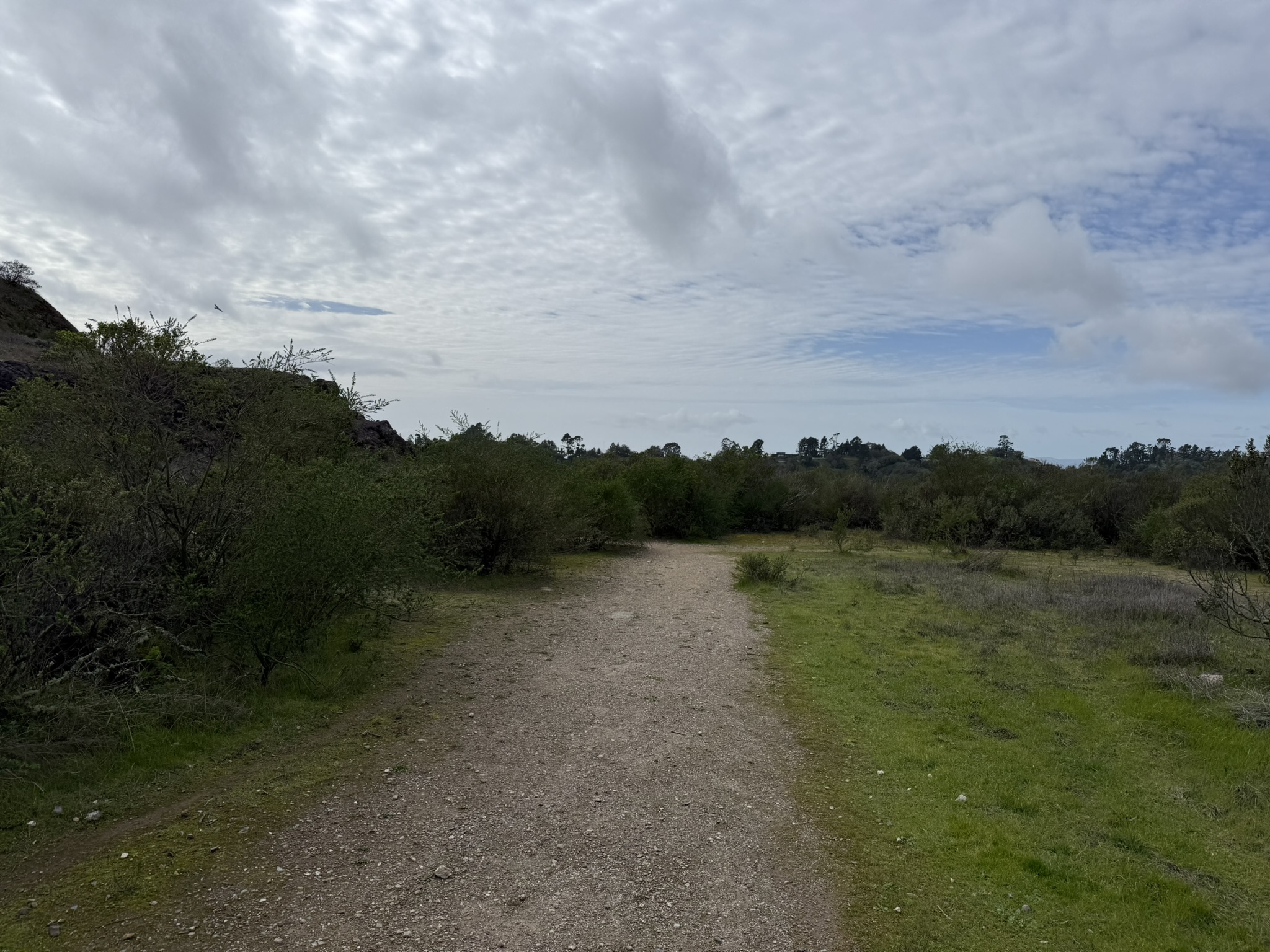 Sibley Volcanic Regional Preserve