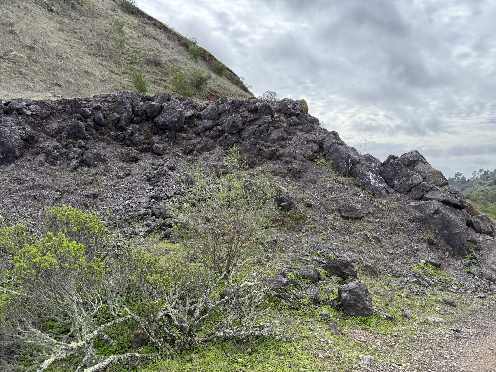 Sibley Volcanic Regional Preserve