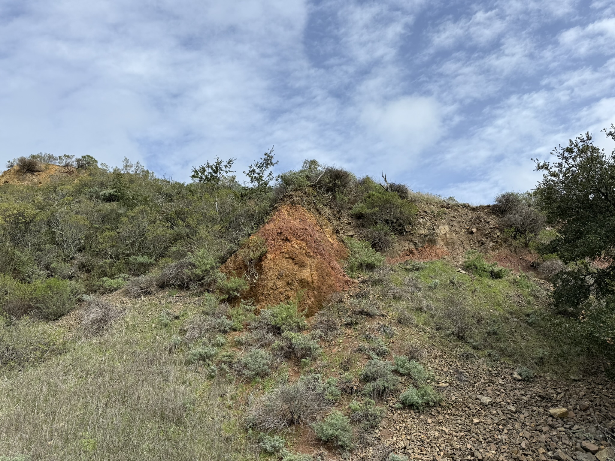 Sibley Volcanic Regional Preserve