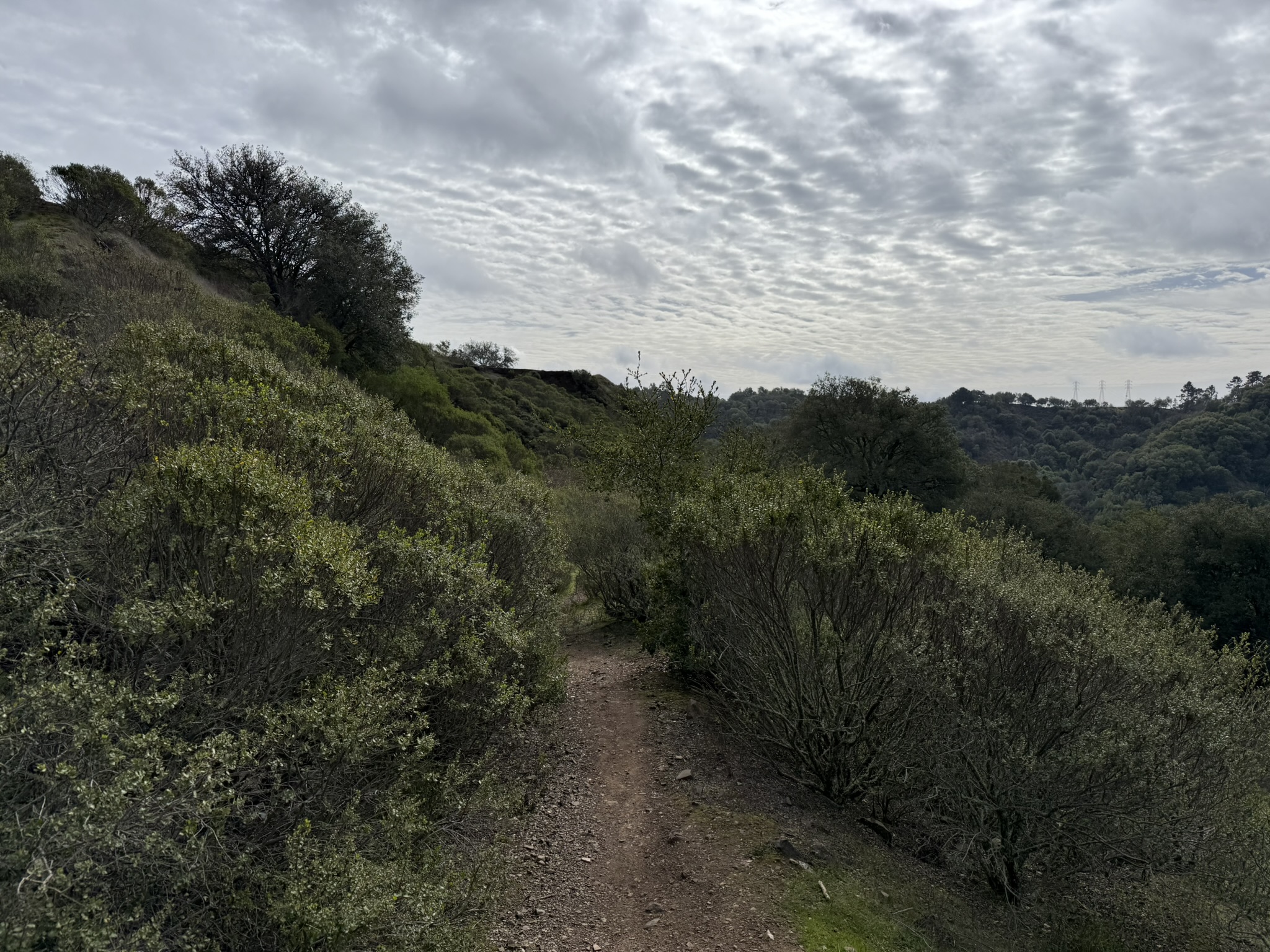 Sibley Volcanic Regional Preserve