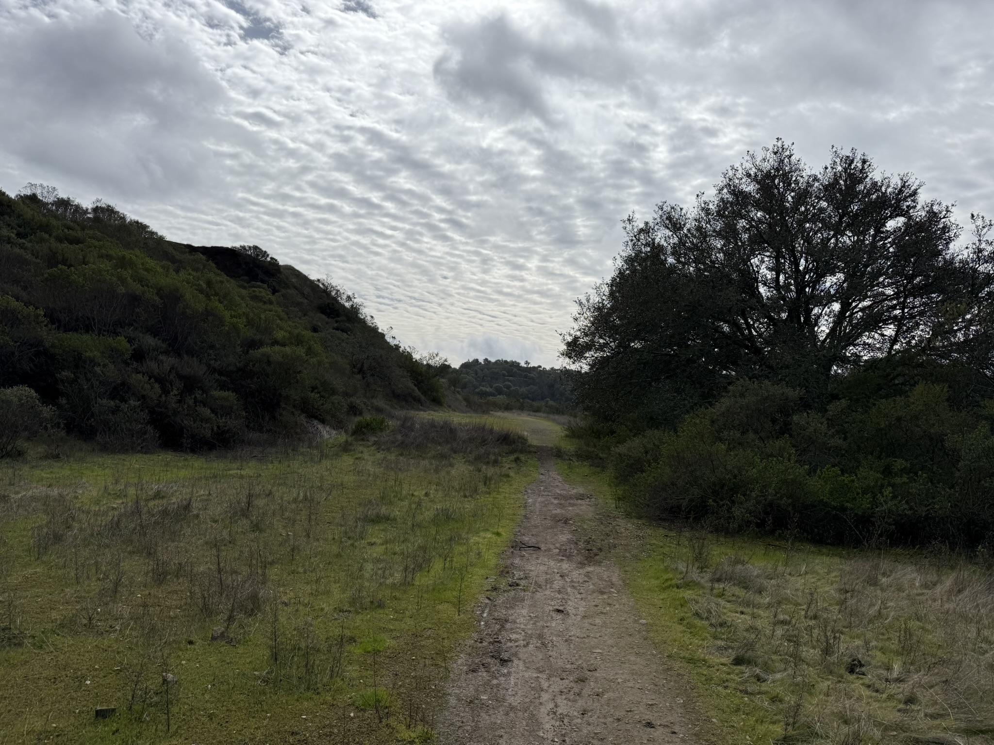 Sibley Volcanic Regional Preserve